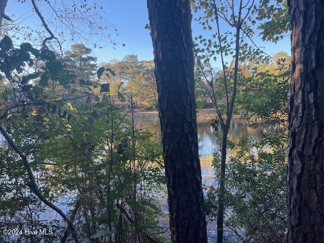 408 Lake Pines Drive, La Grange, NC, 28551