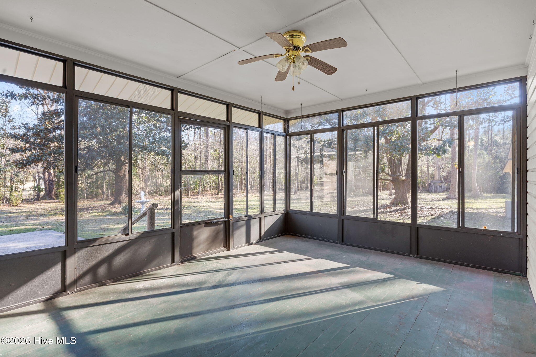 100559935 | Photo 41