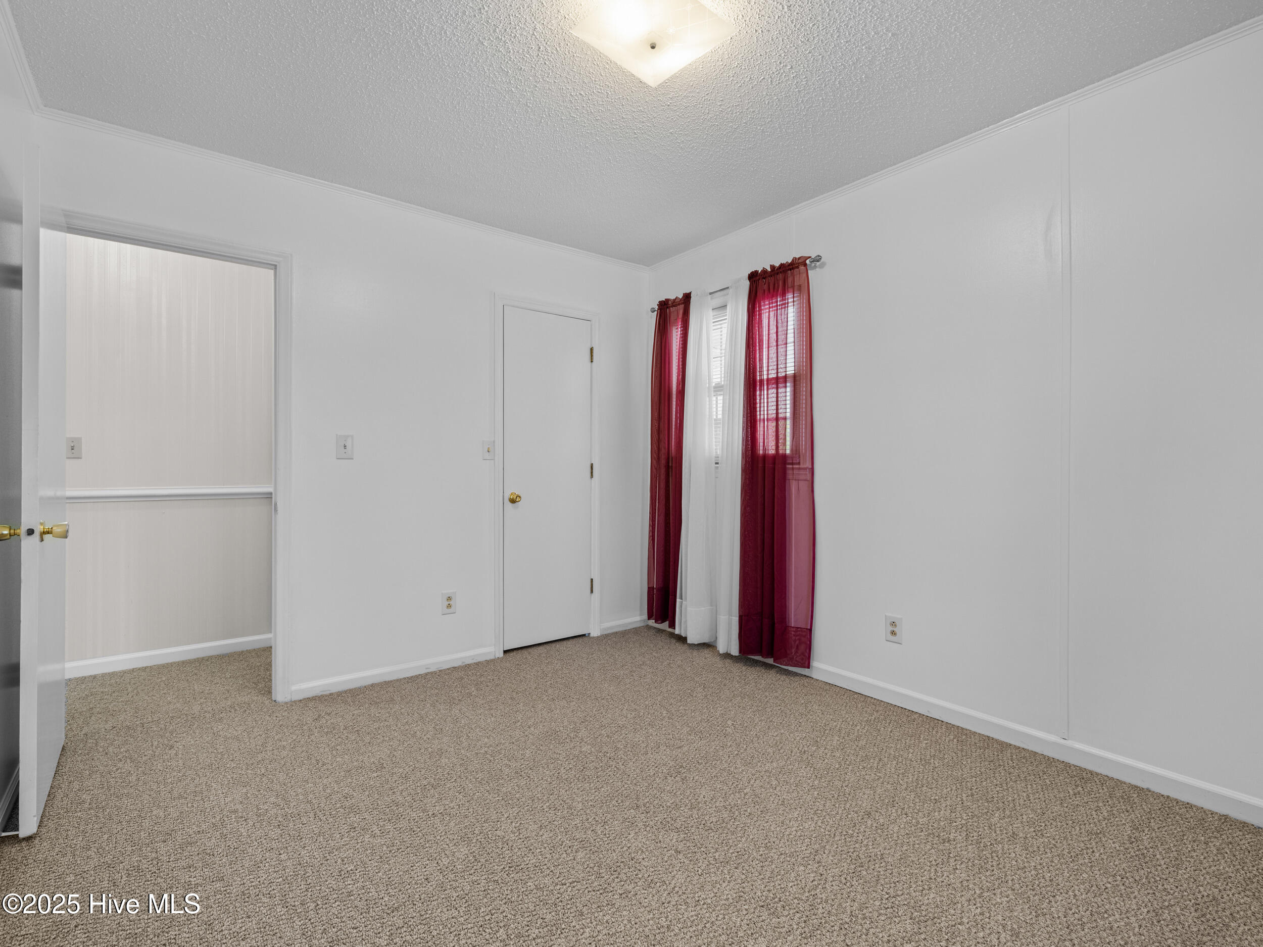 100544325 | Photo 42