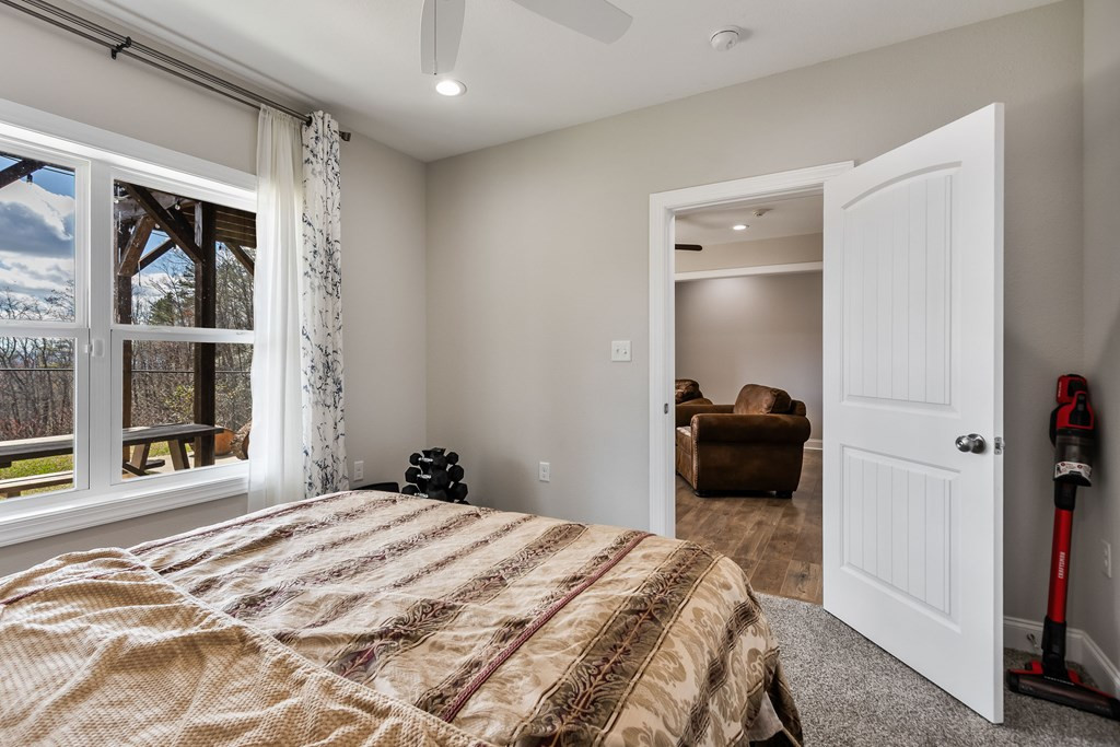 Bedroom 2 - basement