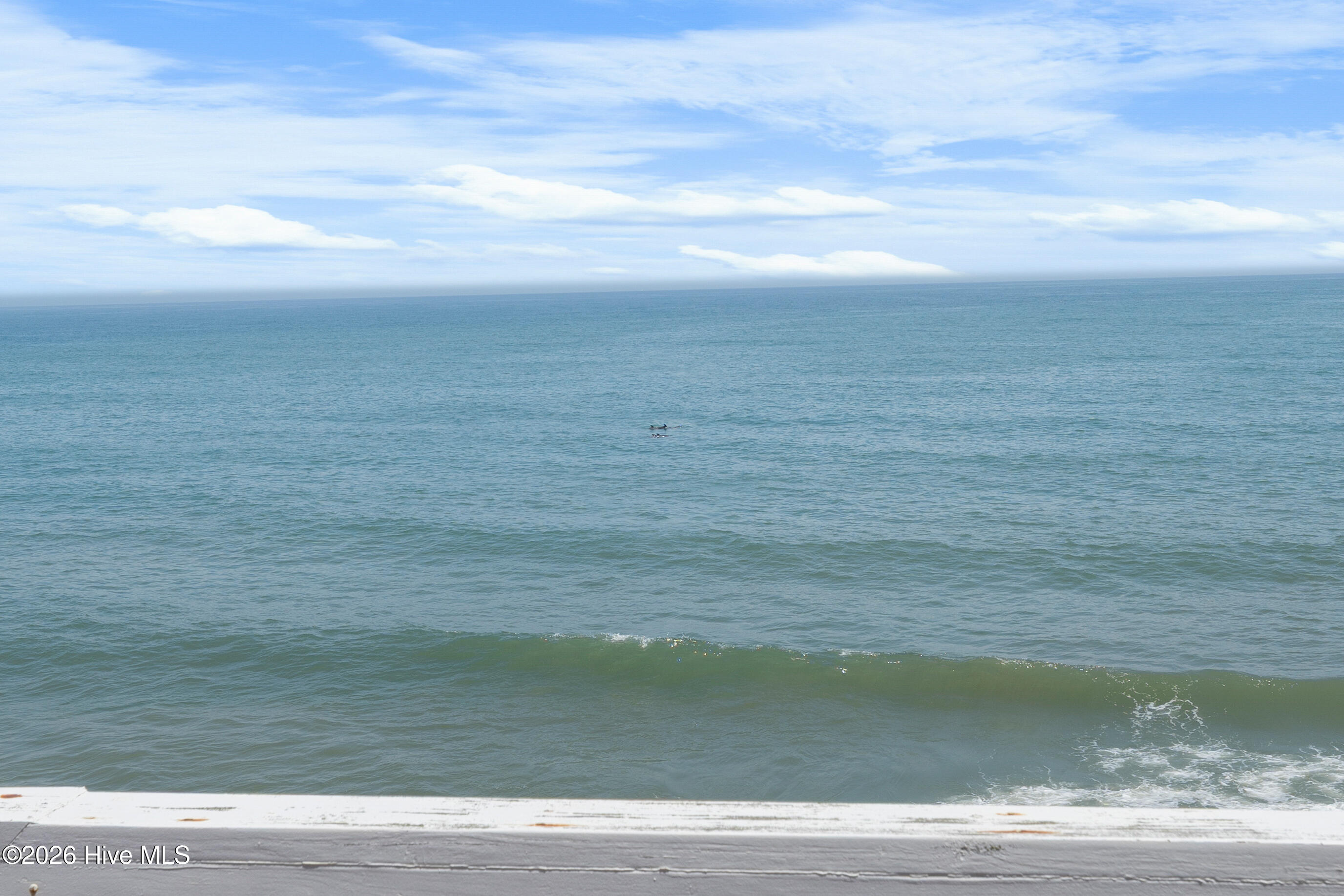 100550071 | Photo 19