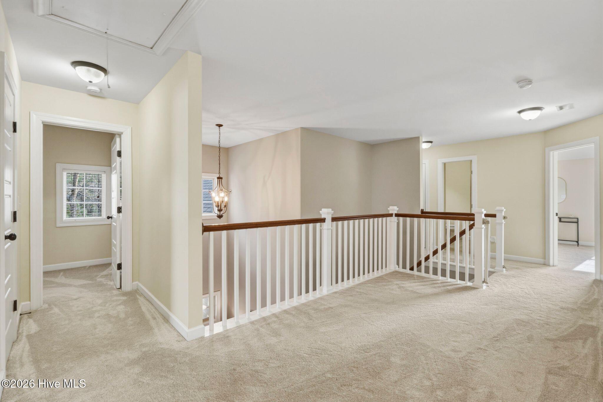 100562110 | Photo 38