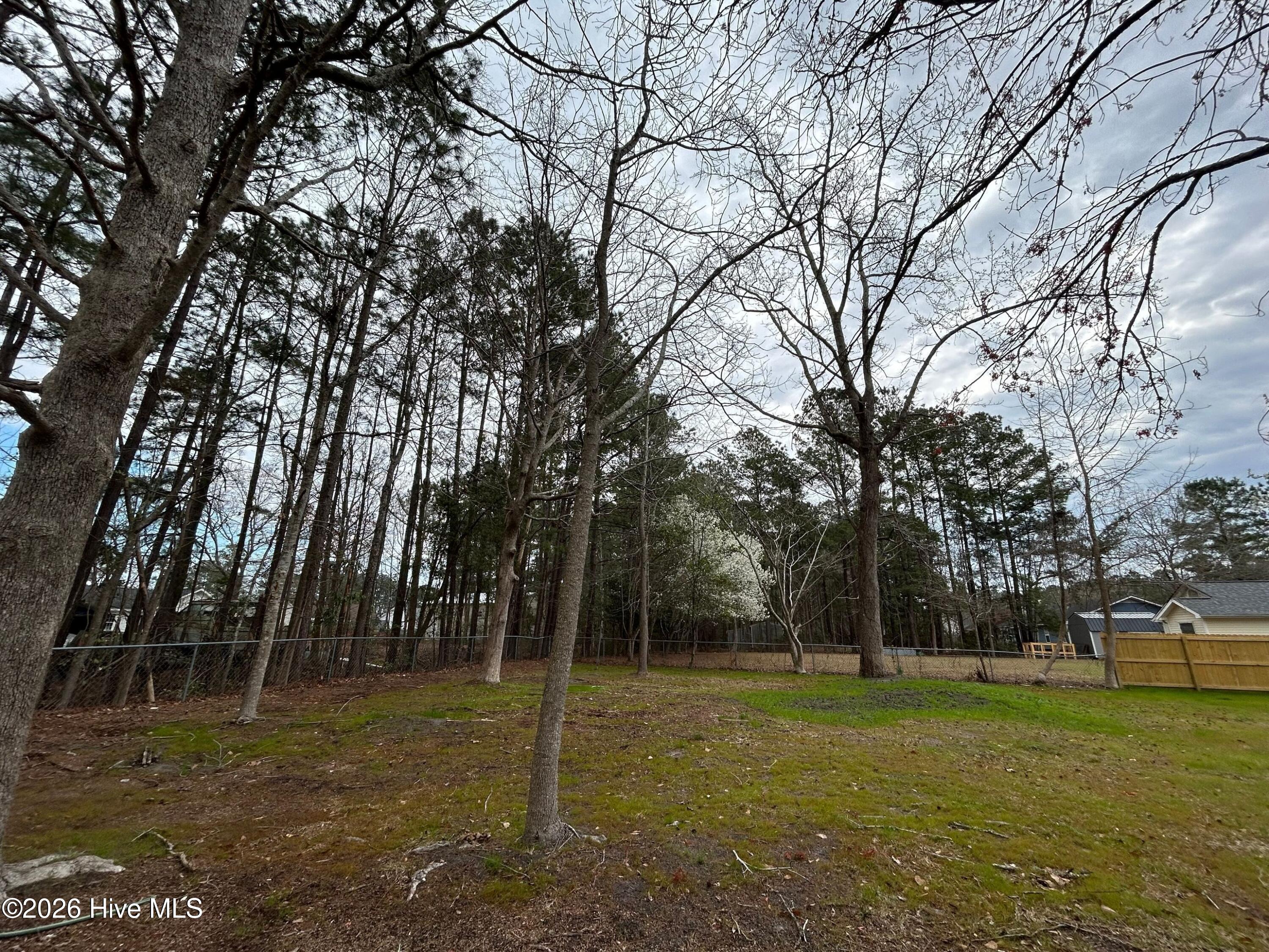 100559934 | Photo 21