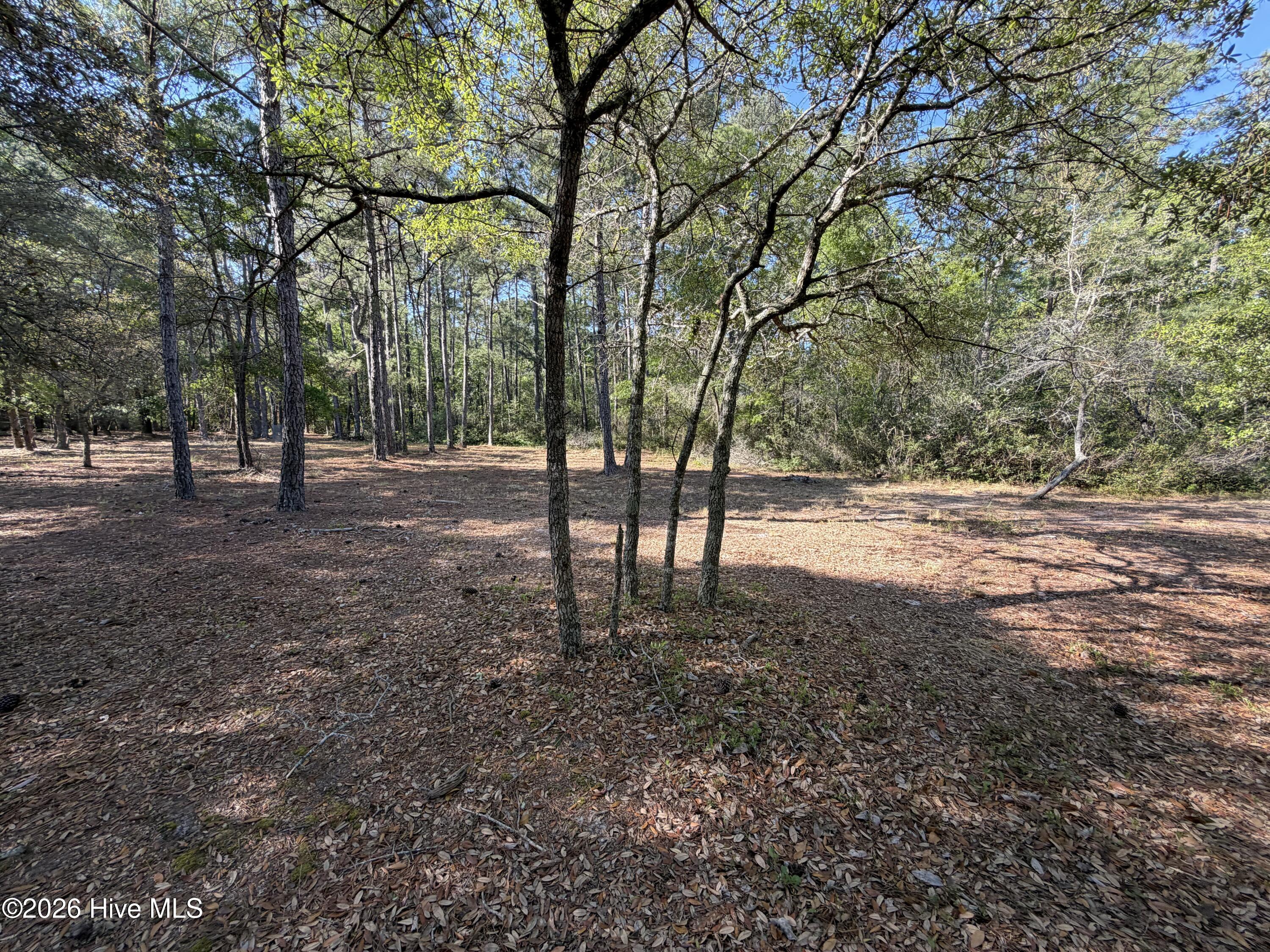 100569974 | Photo 19