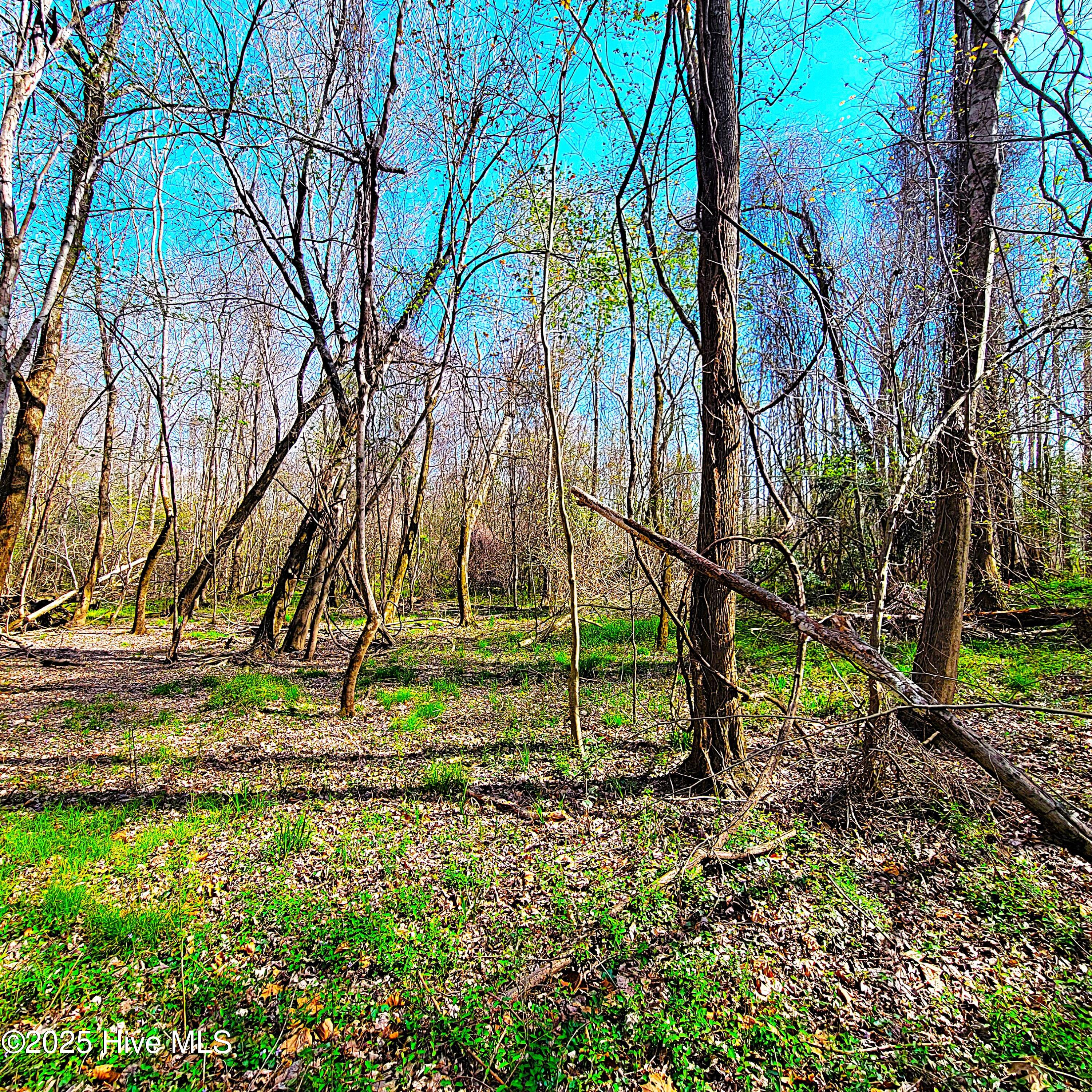 100496184 | Photo 18