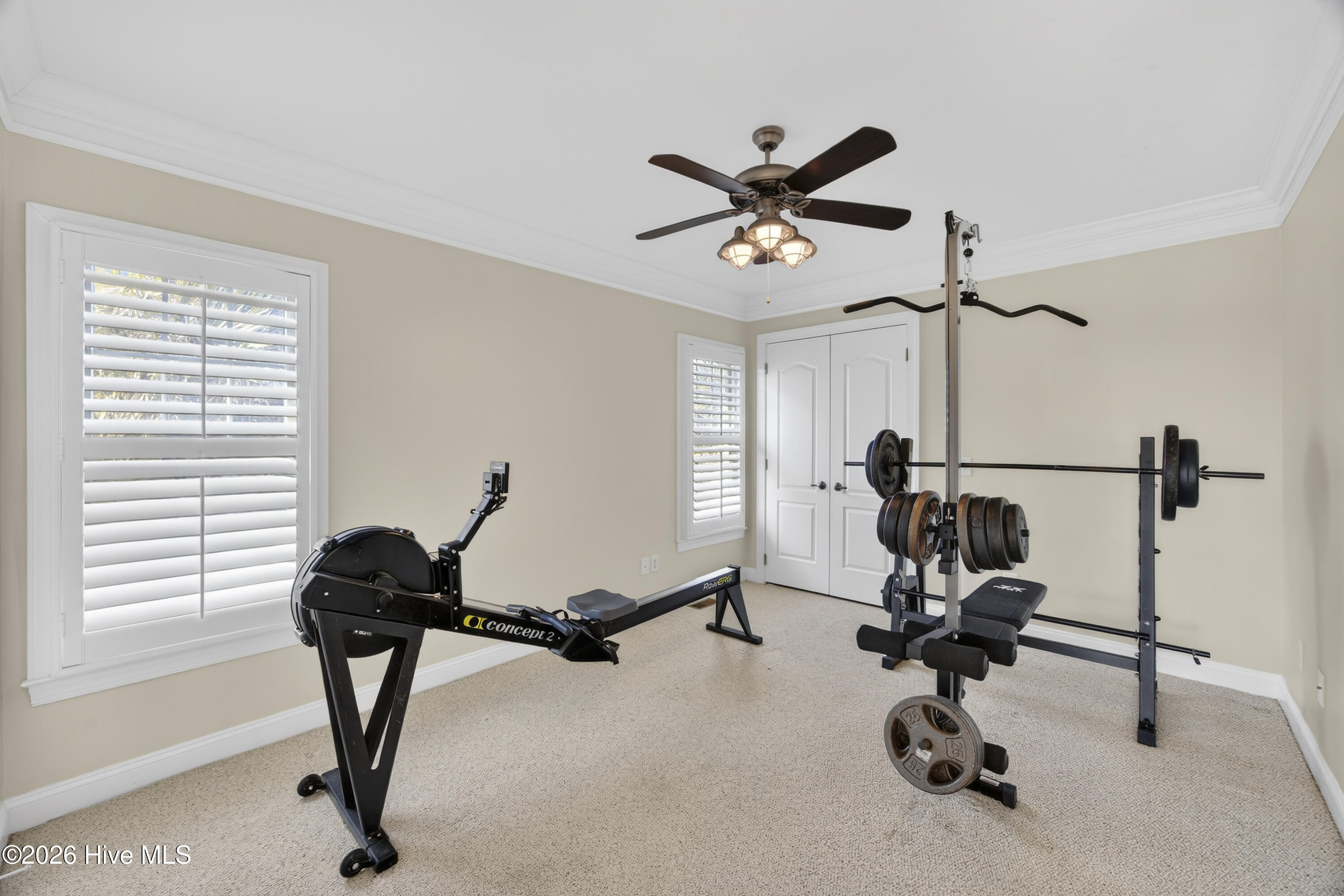 100554981 | Photo 102