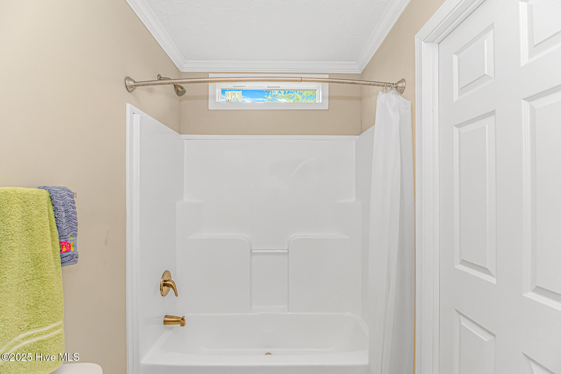 100510788 | Photo 16