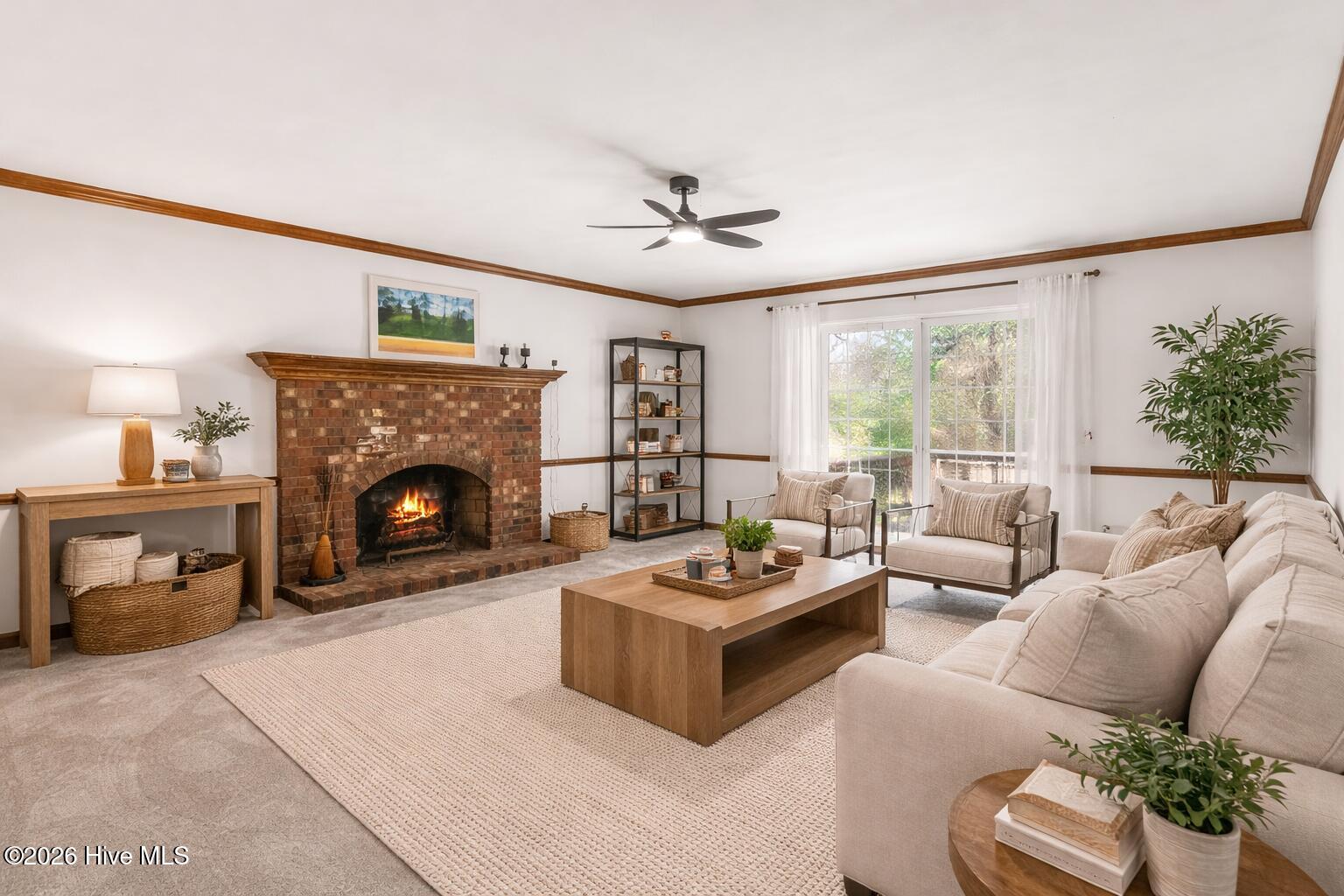 100552113 | Photo 38