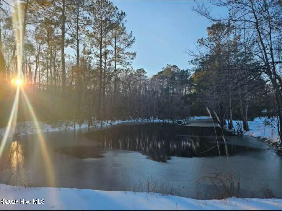 100570604 | Photo 48