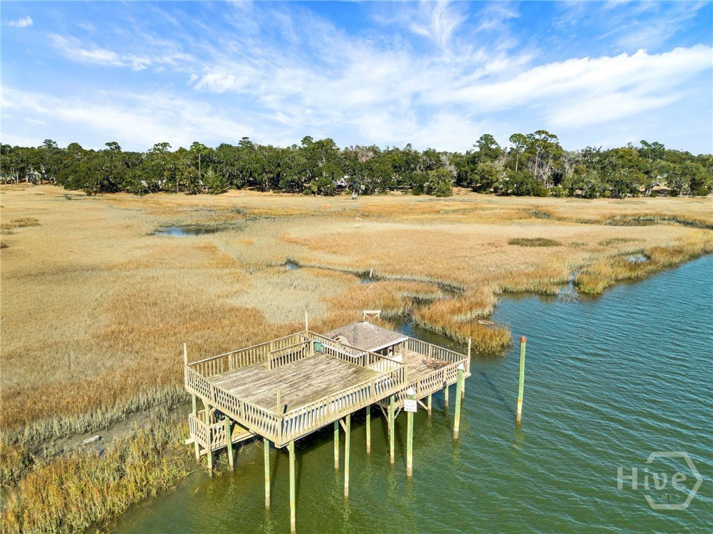 Dock house for the property