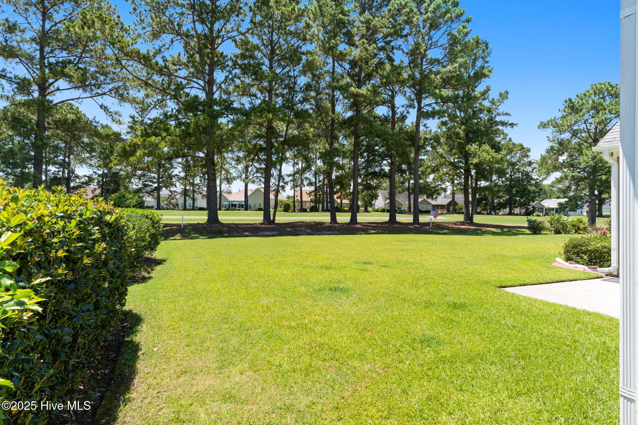 100519140 | Photo 25