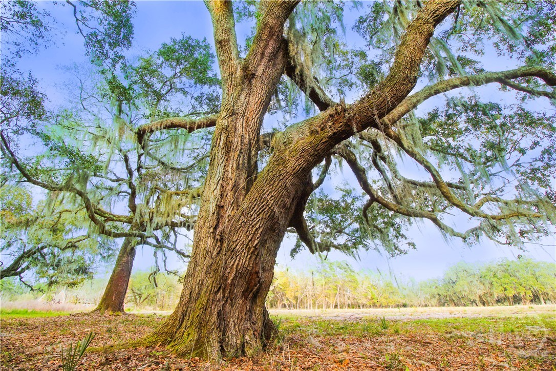 1 William's (36 lots 95 acres) Retreat, Savannah, GA, 31419