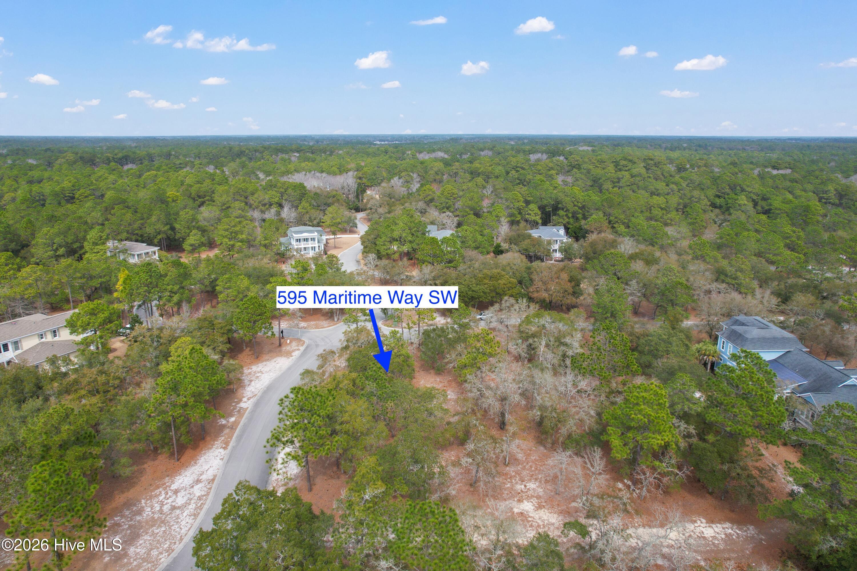 100548259 | Photo 17