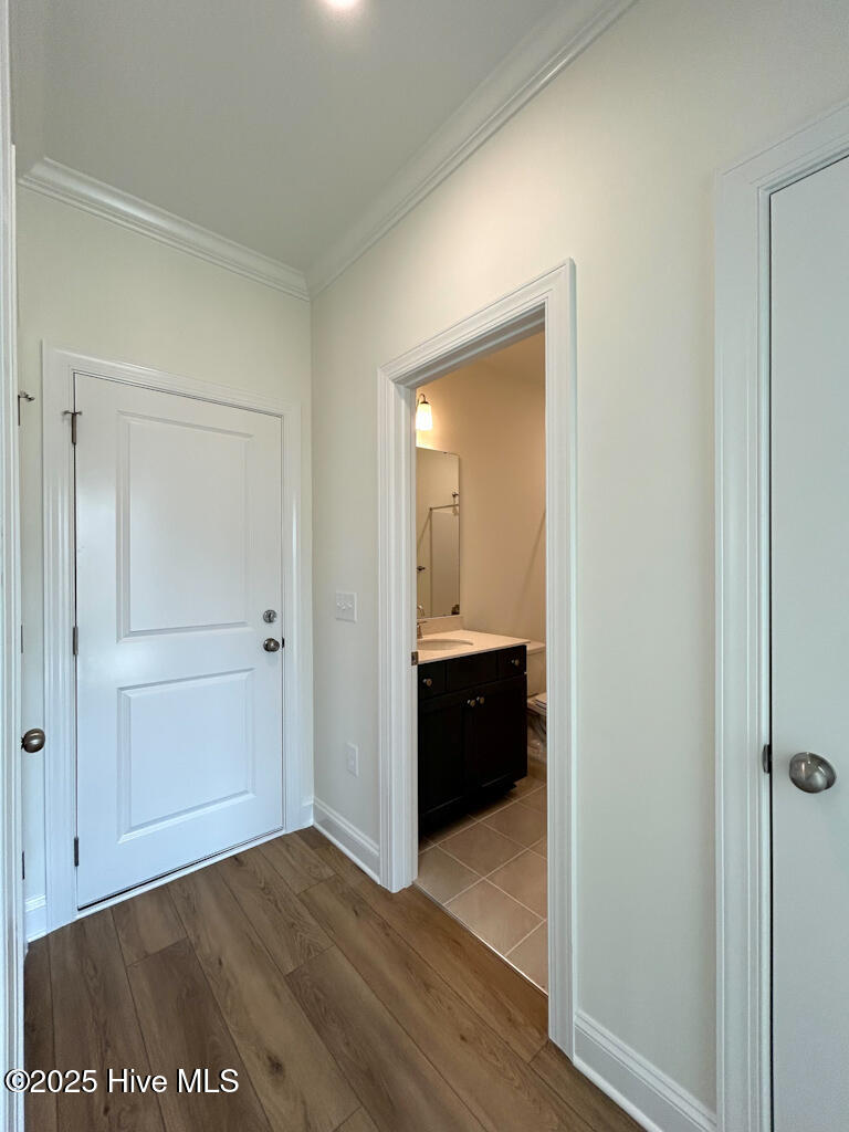 100479294 | Photo 36