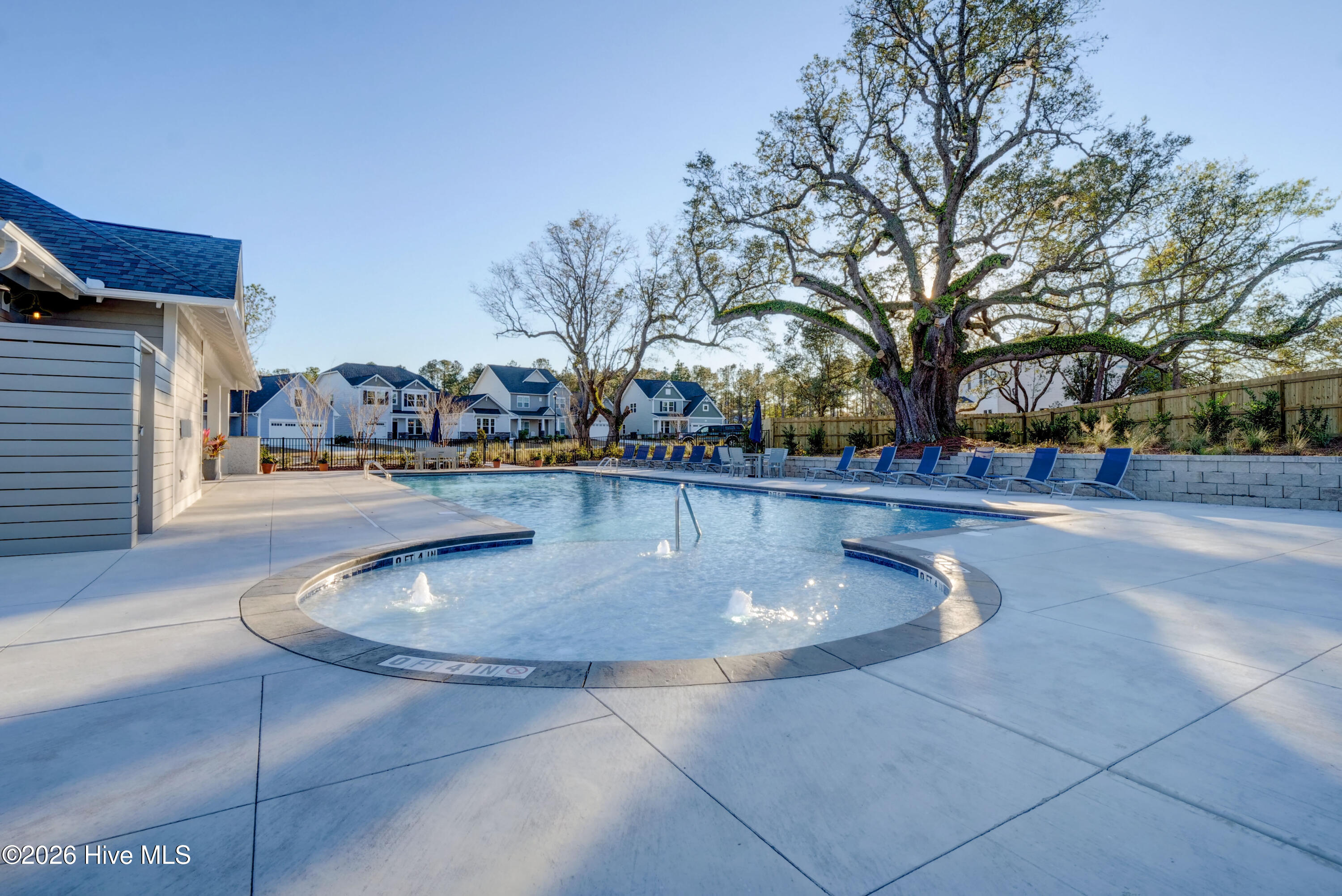 100567607 | Photo 64