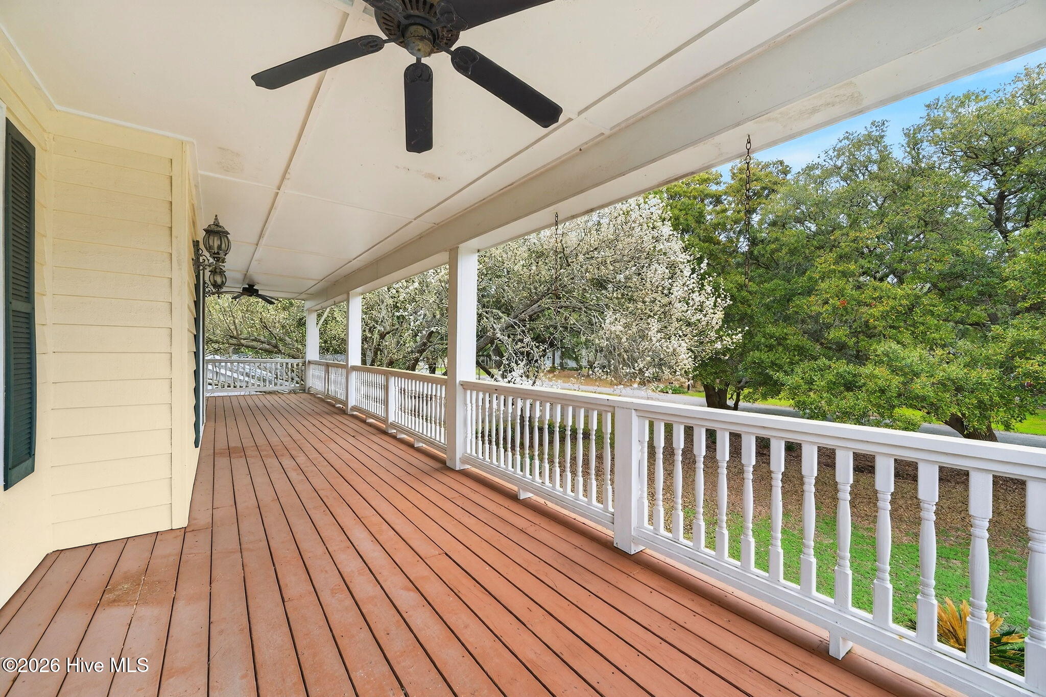 100559541 | Photo 63