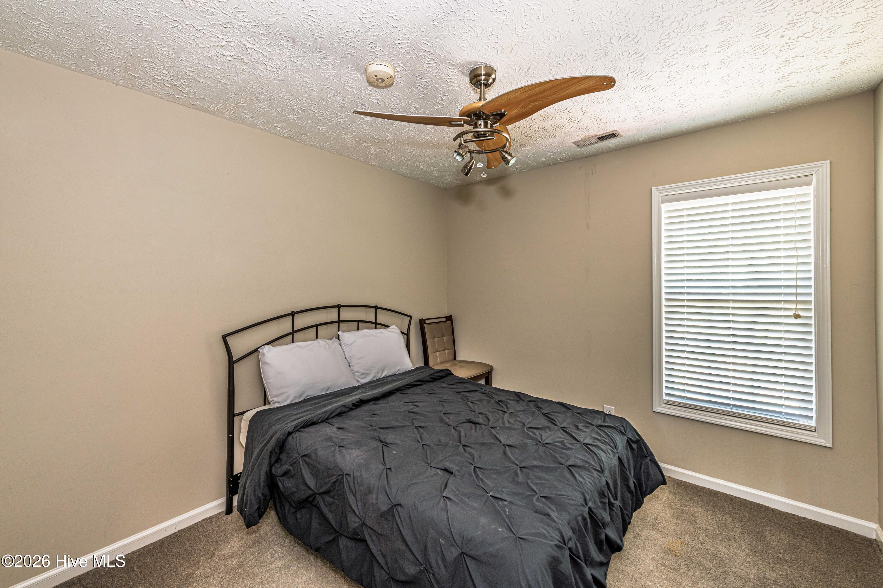 100569182 | Photo 41