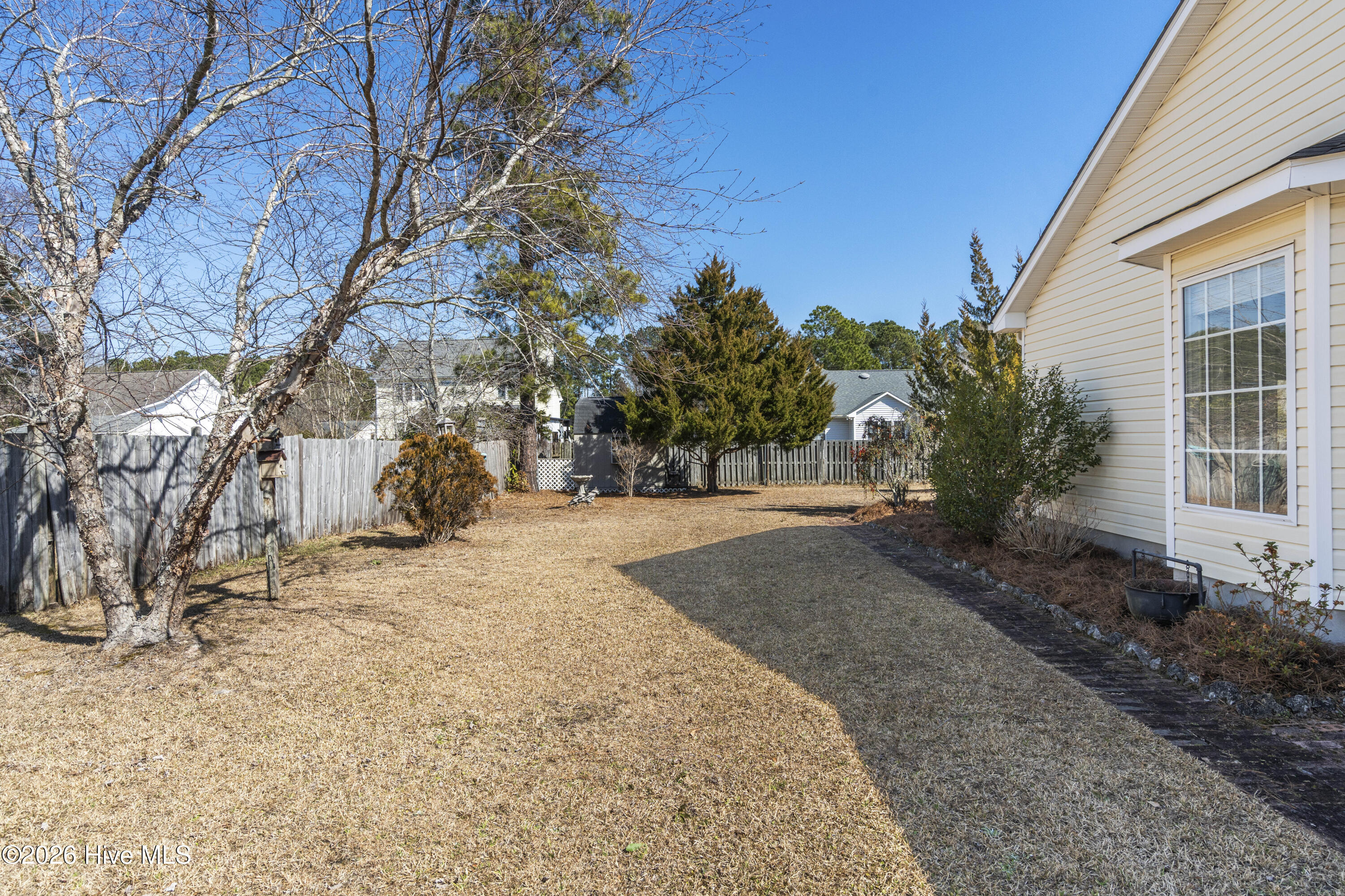 100554853 | Photo 44