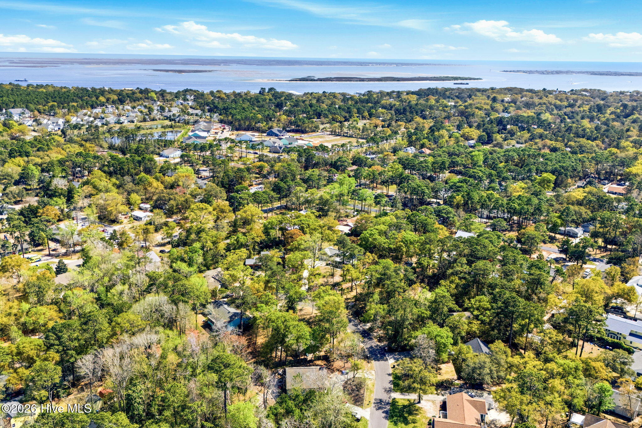 100564618 | Photo 49