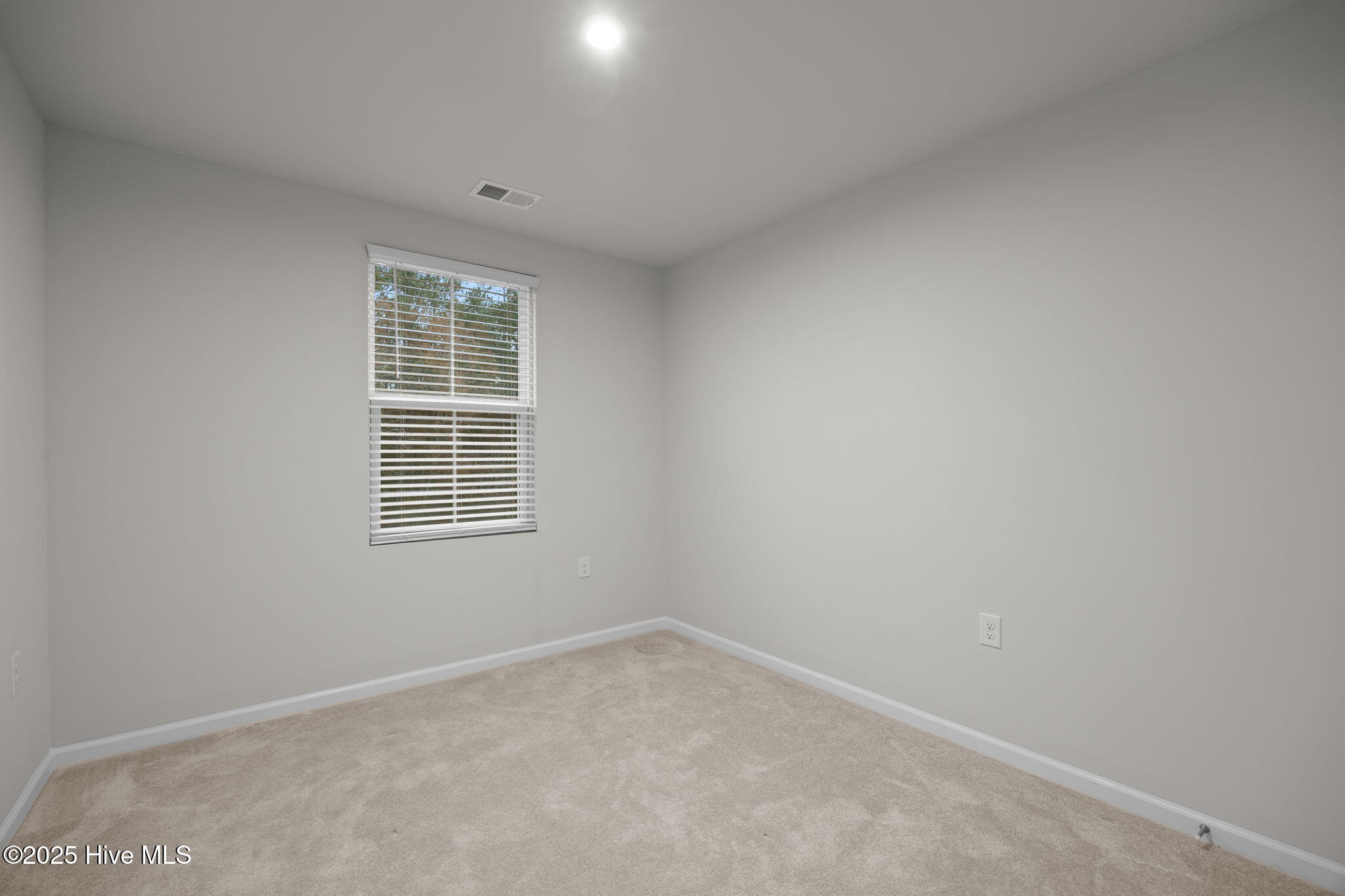 100546281 | Photo 22