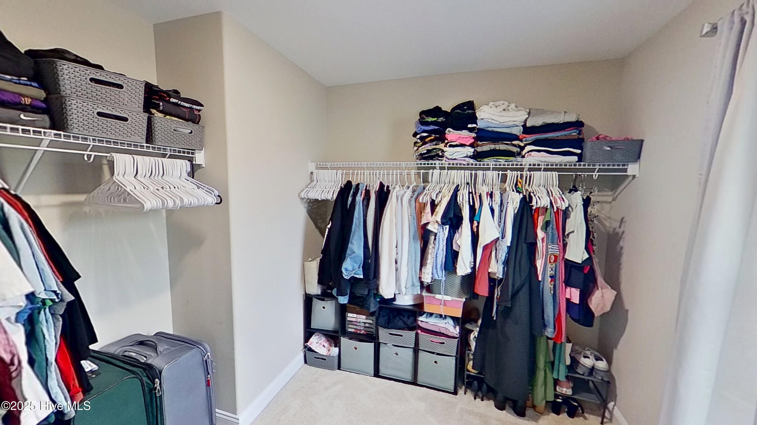 100567217 | Photo 18