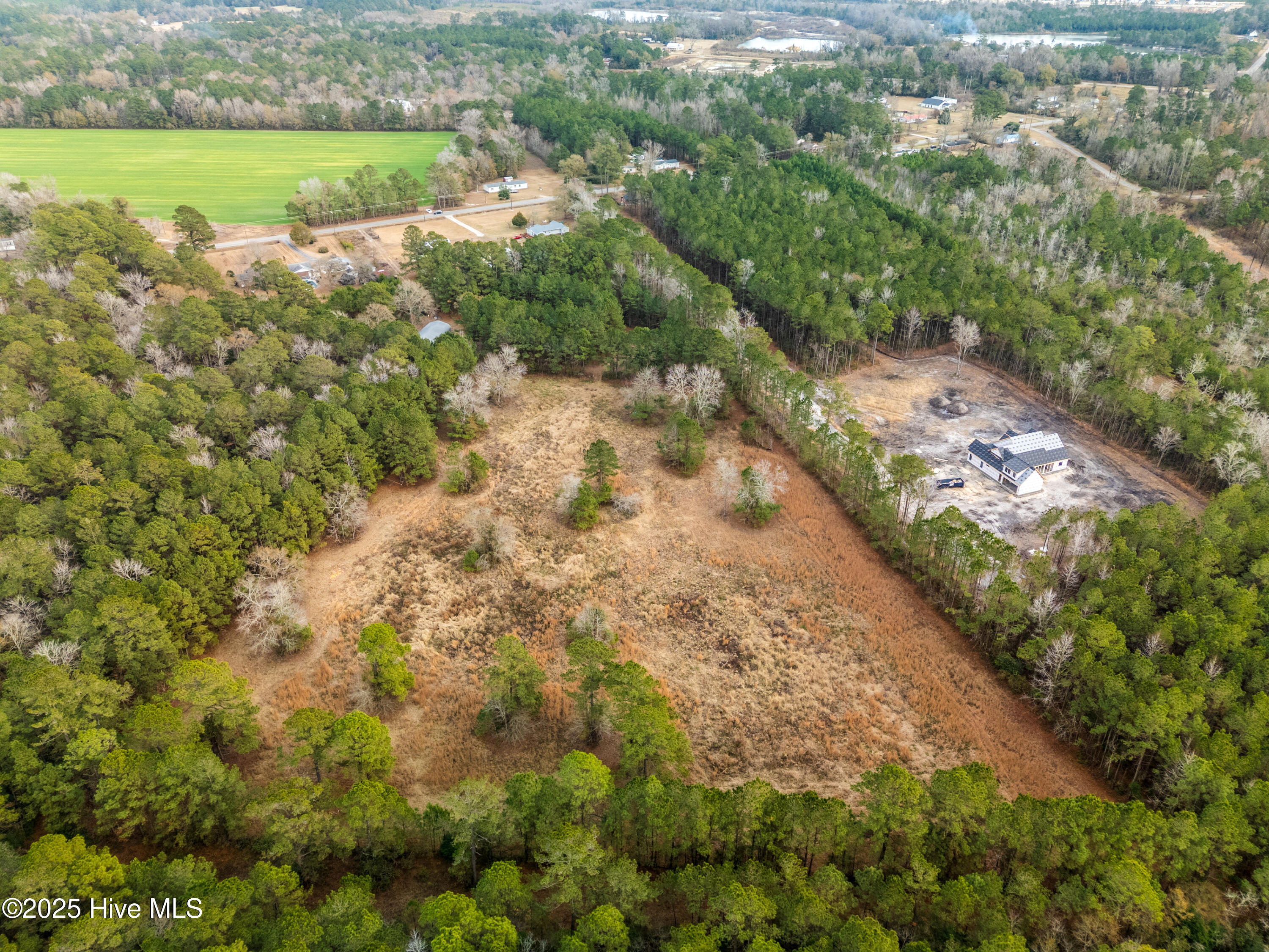 100546785 | Photo 12