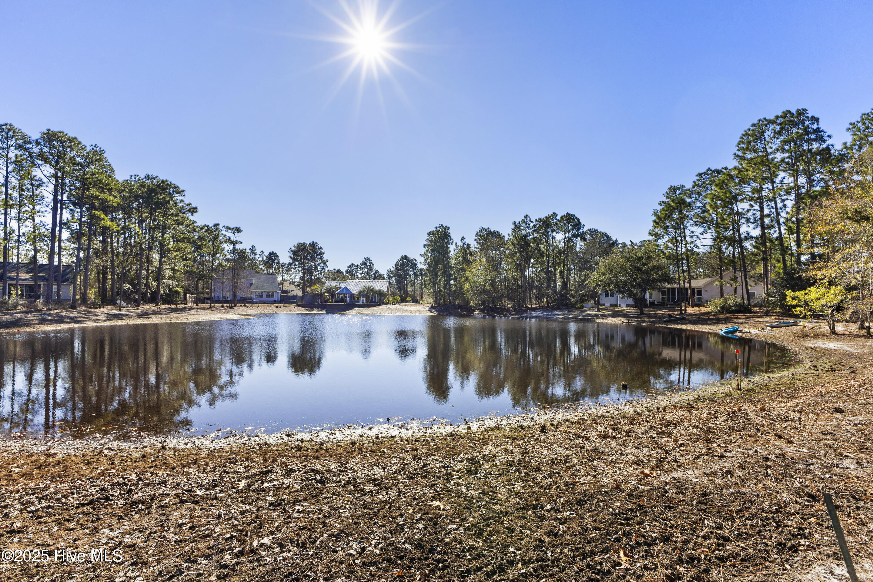 100484039 | Photo 41