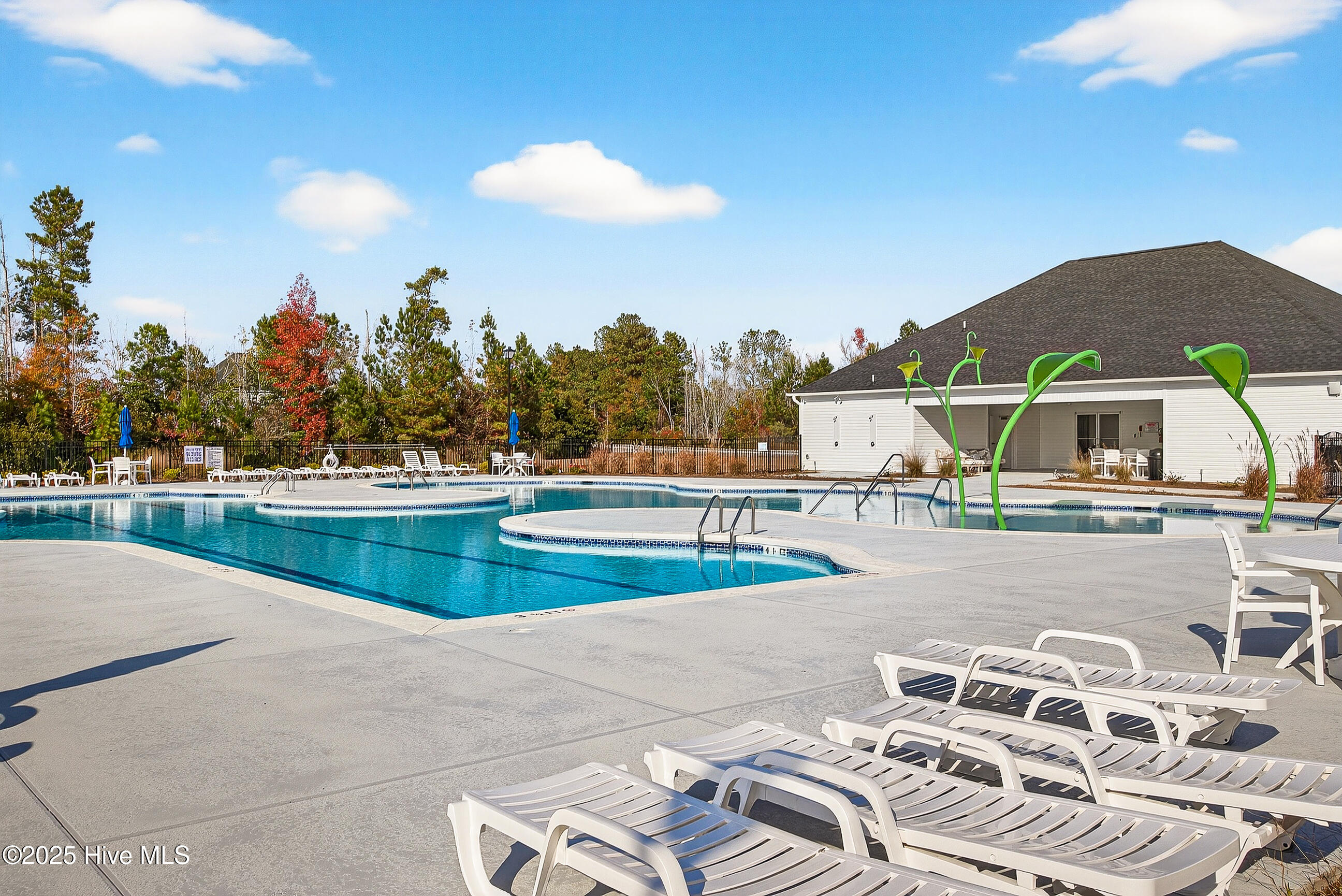 100542531 | Photo 45