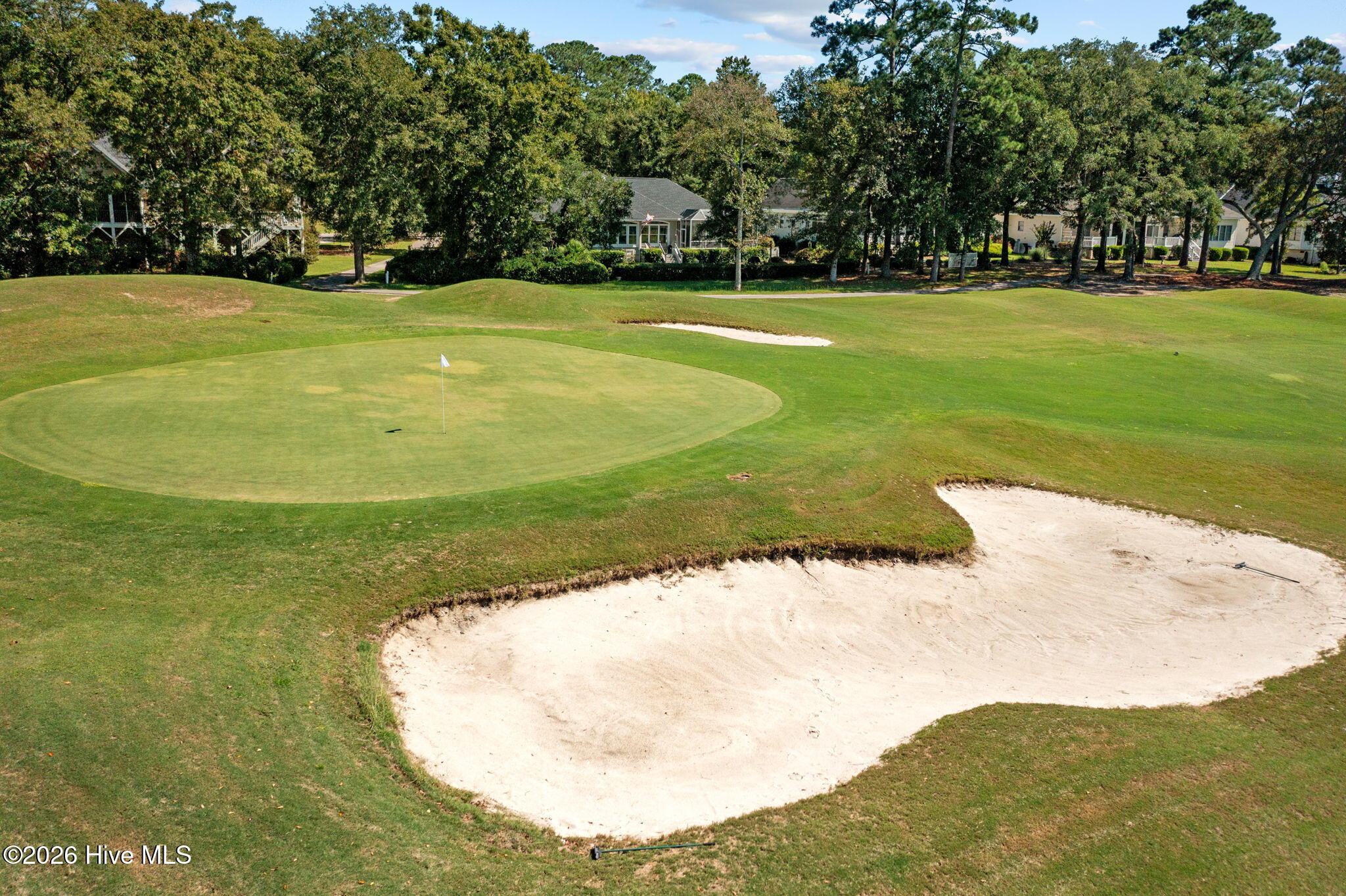 100559711 | Photo 62