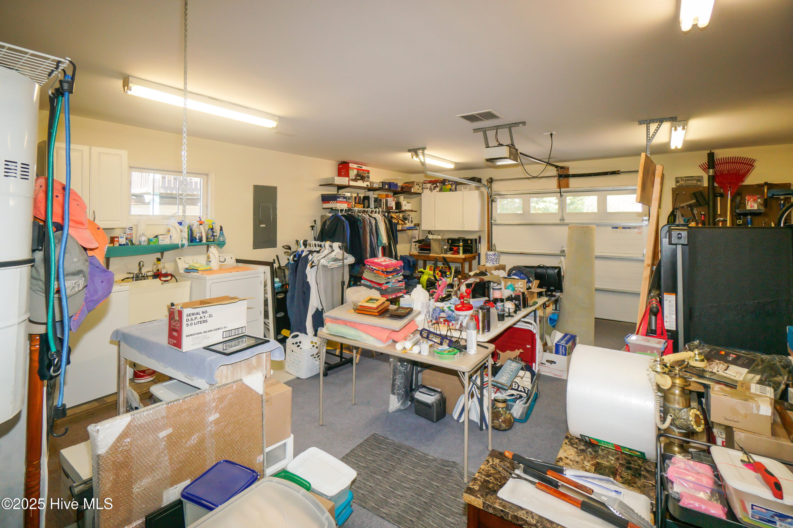 100559254 | Photo 19