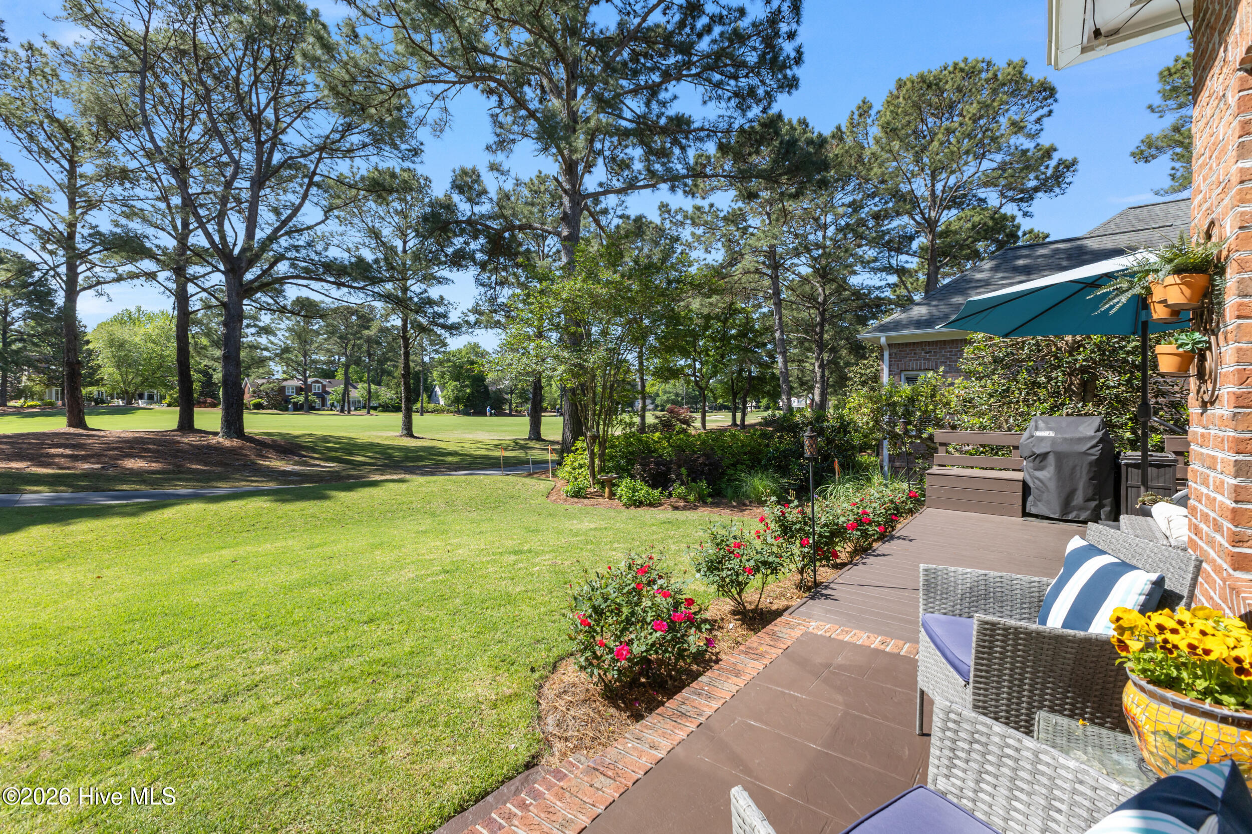 100569489 | Photo 44