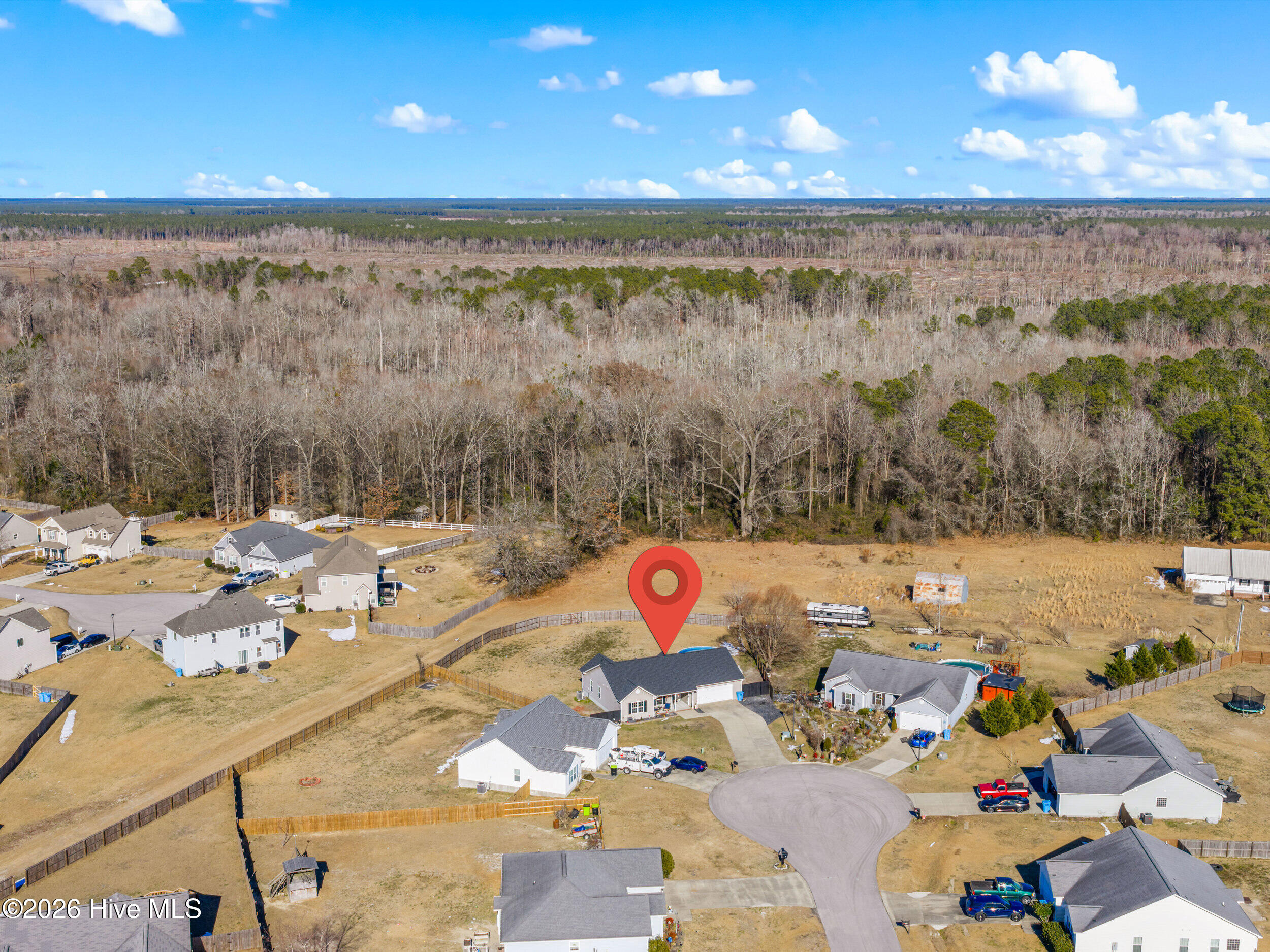 100554135 | Photo 43