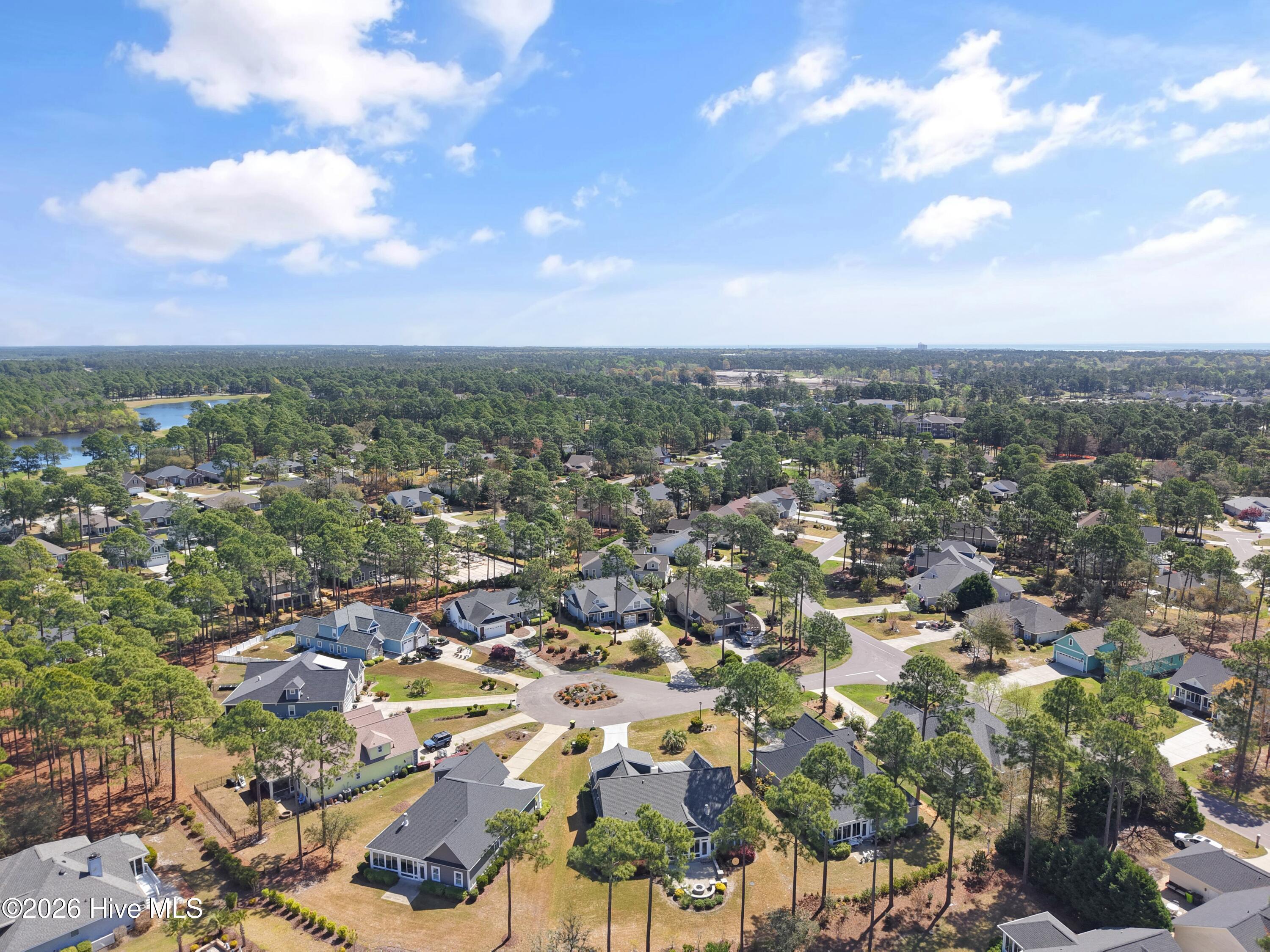 100564386 | Photo 75