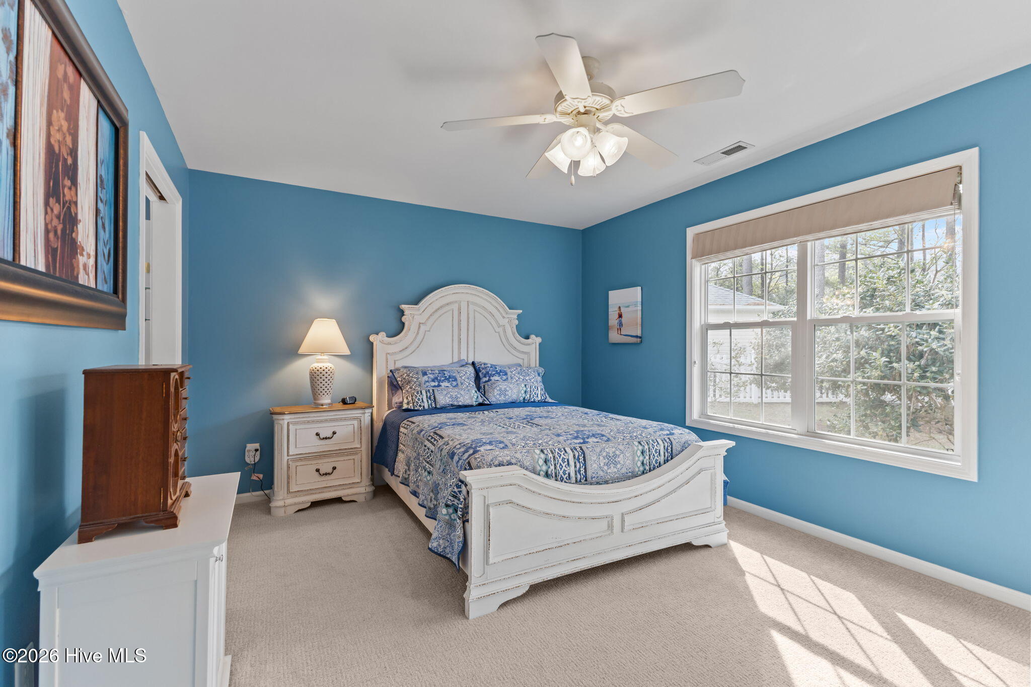 100563135 | Photo 23