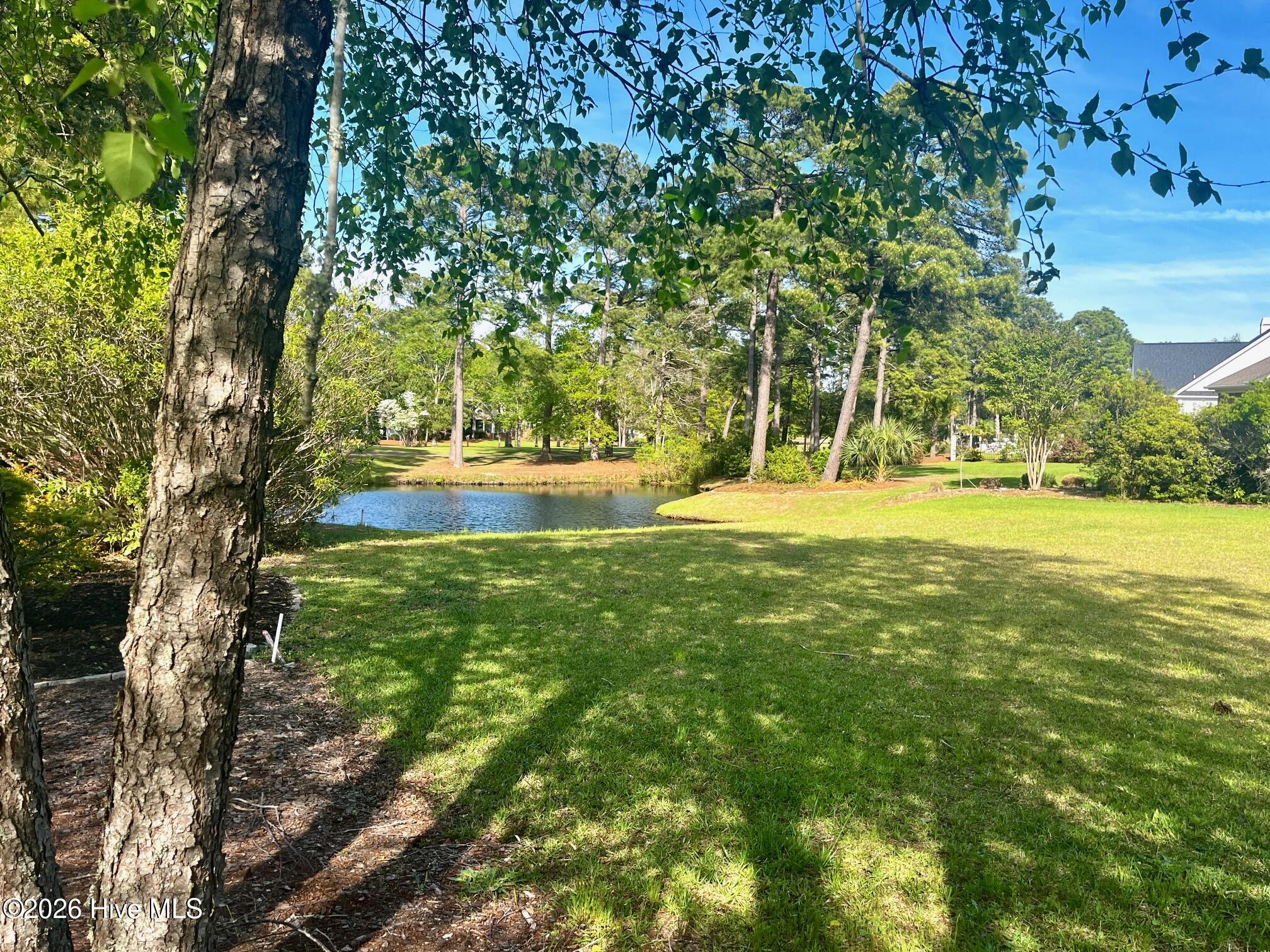 100566129 | Photo 47