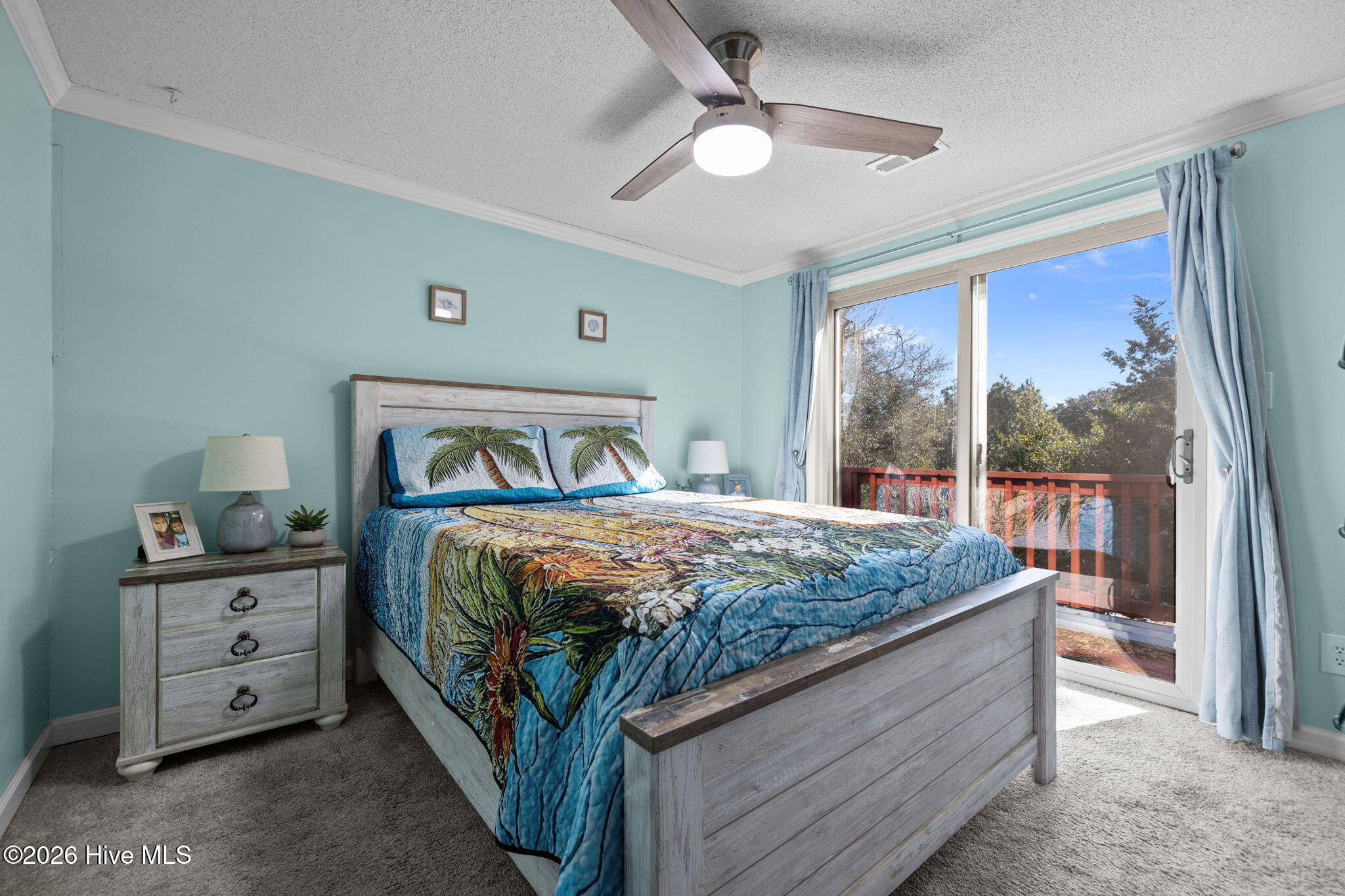 100553016 | Photo 34