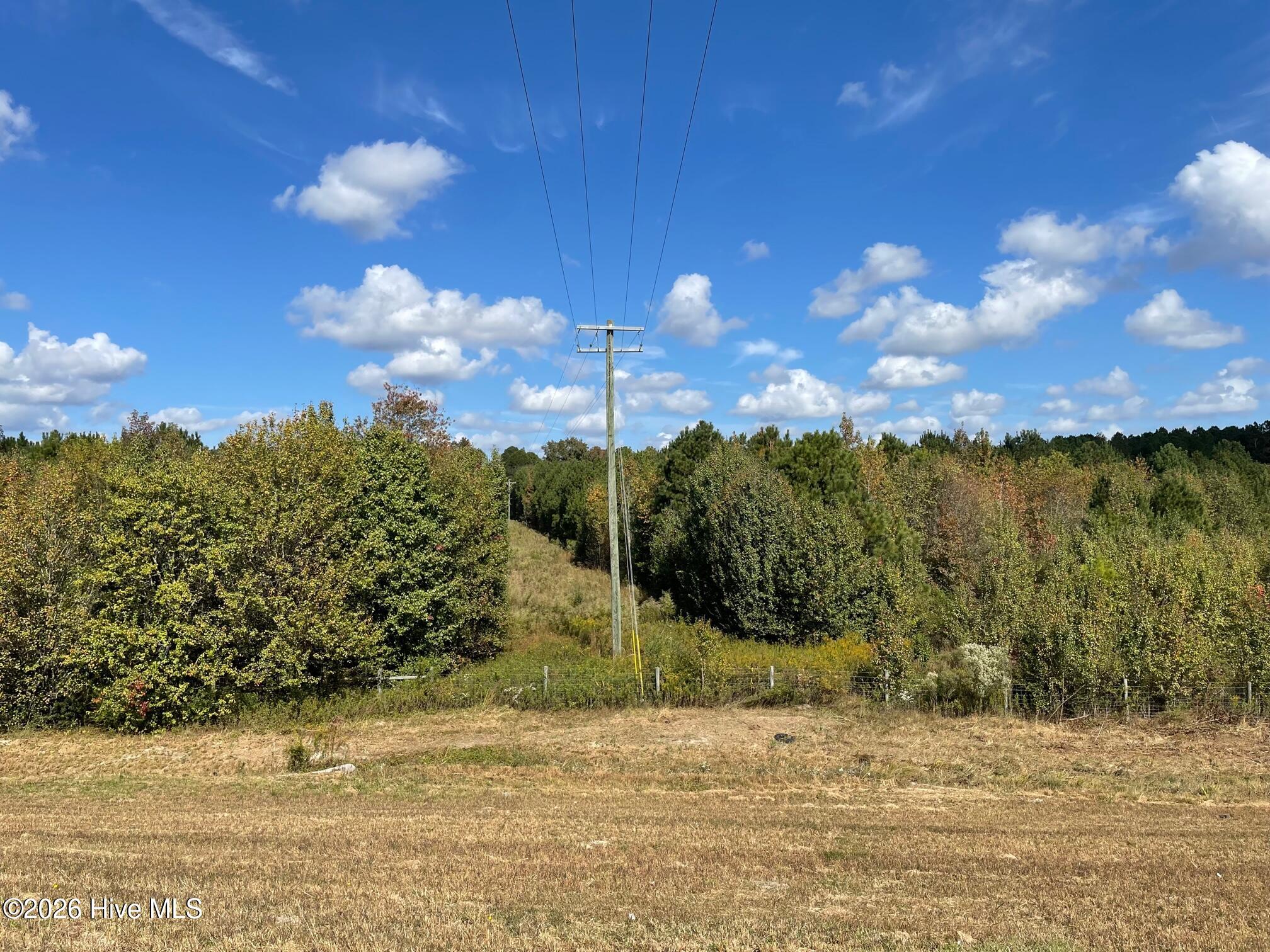 3rd image of 1C Dunn Road Ext, Roseboro, NC 28382 | MLS# 100590536