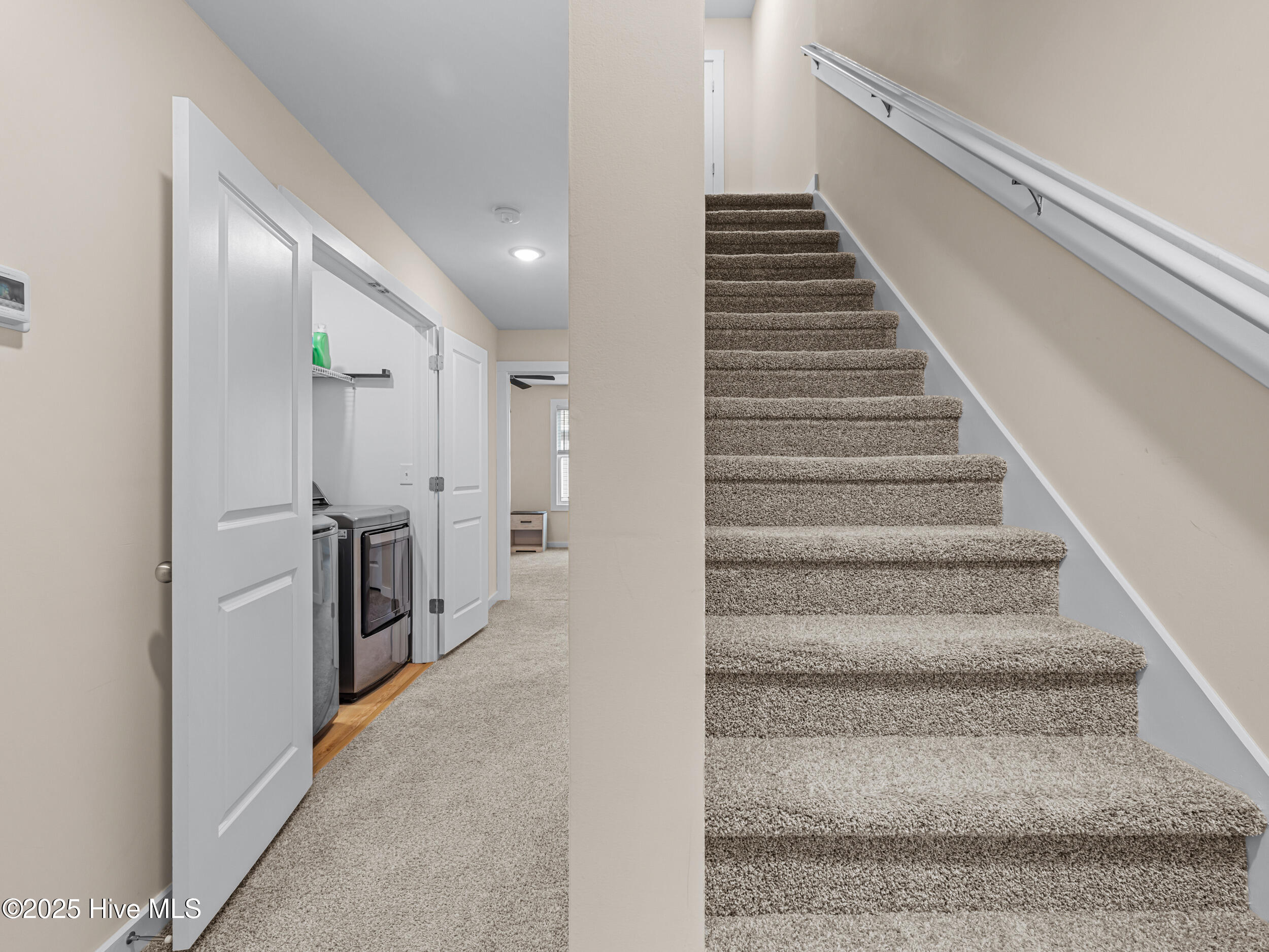 100541622 | Photo 30