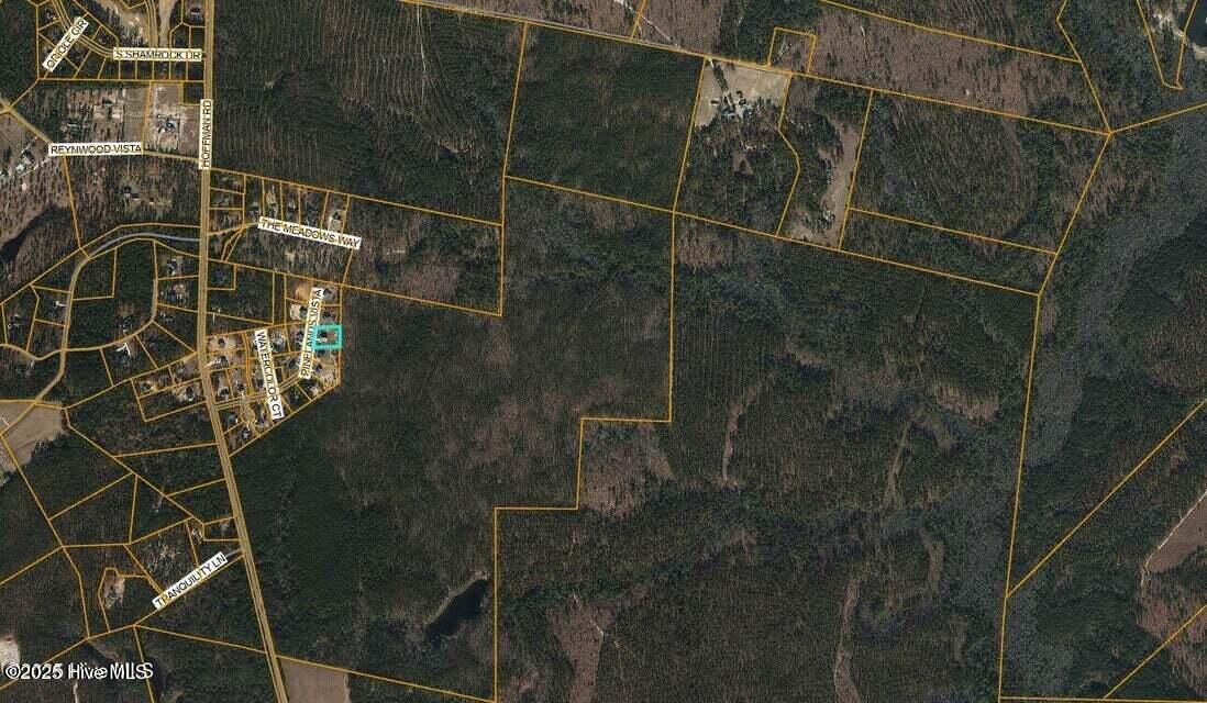 Homes for sale in Jackson Springs, NC | 170 Pinelands Vis, Jackson Springs, NC 27281 | MLS# 100543506