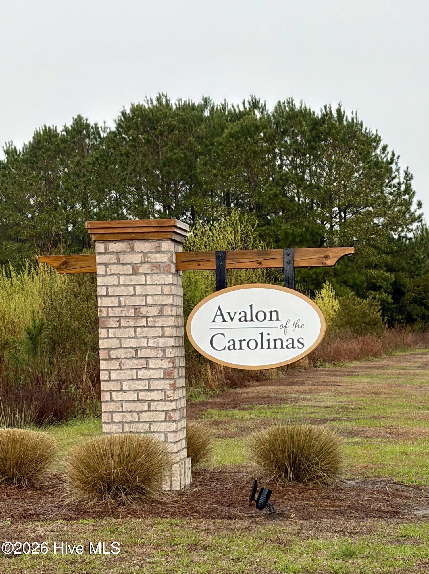 100560906 | Photo 38