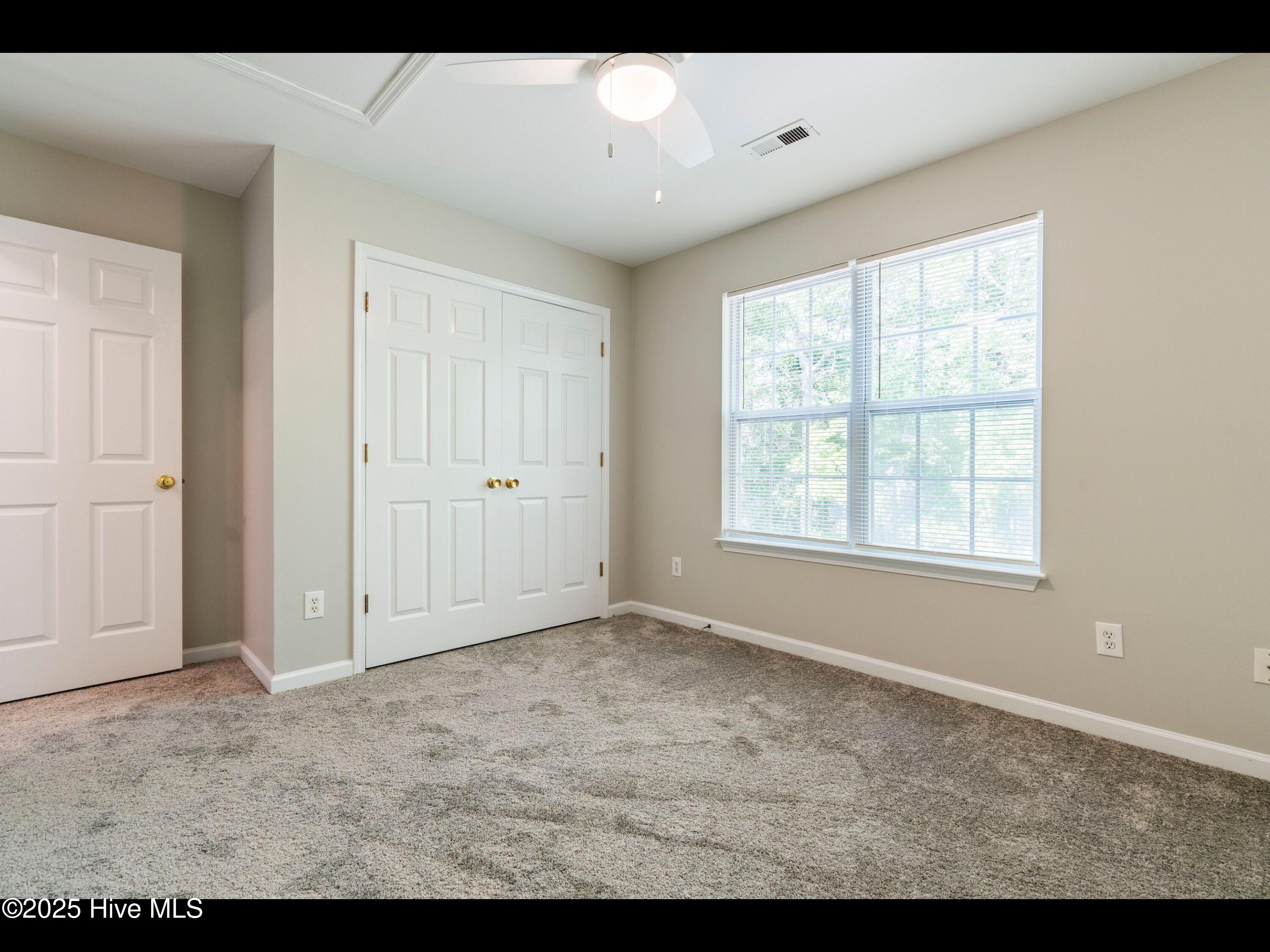 100510875 | Photo 21