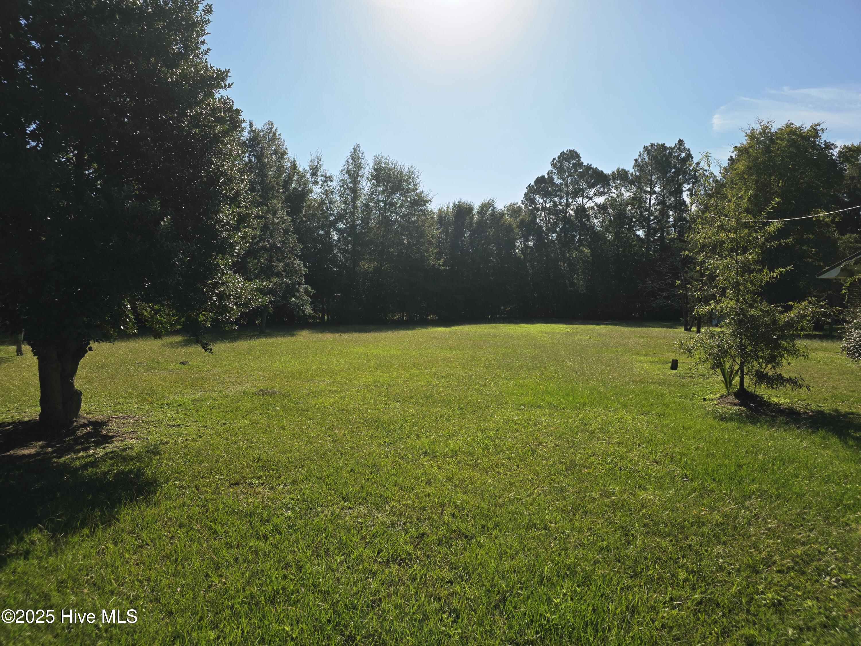 lot 1 Frazier Drive, Riceboro, GA, 31323