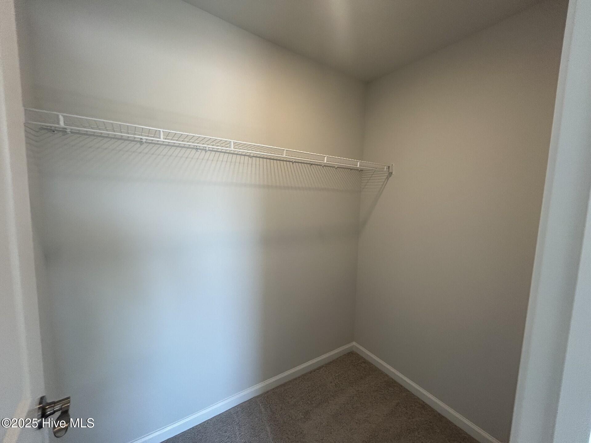 100525039 | Photo 18