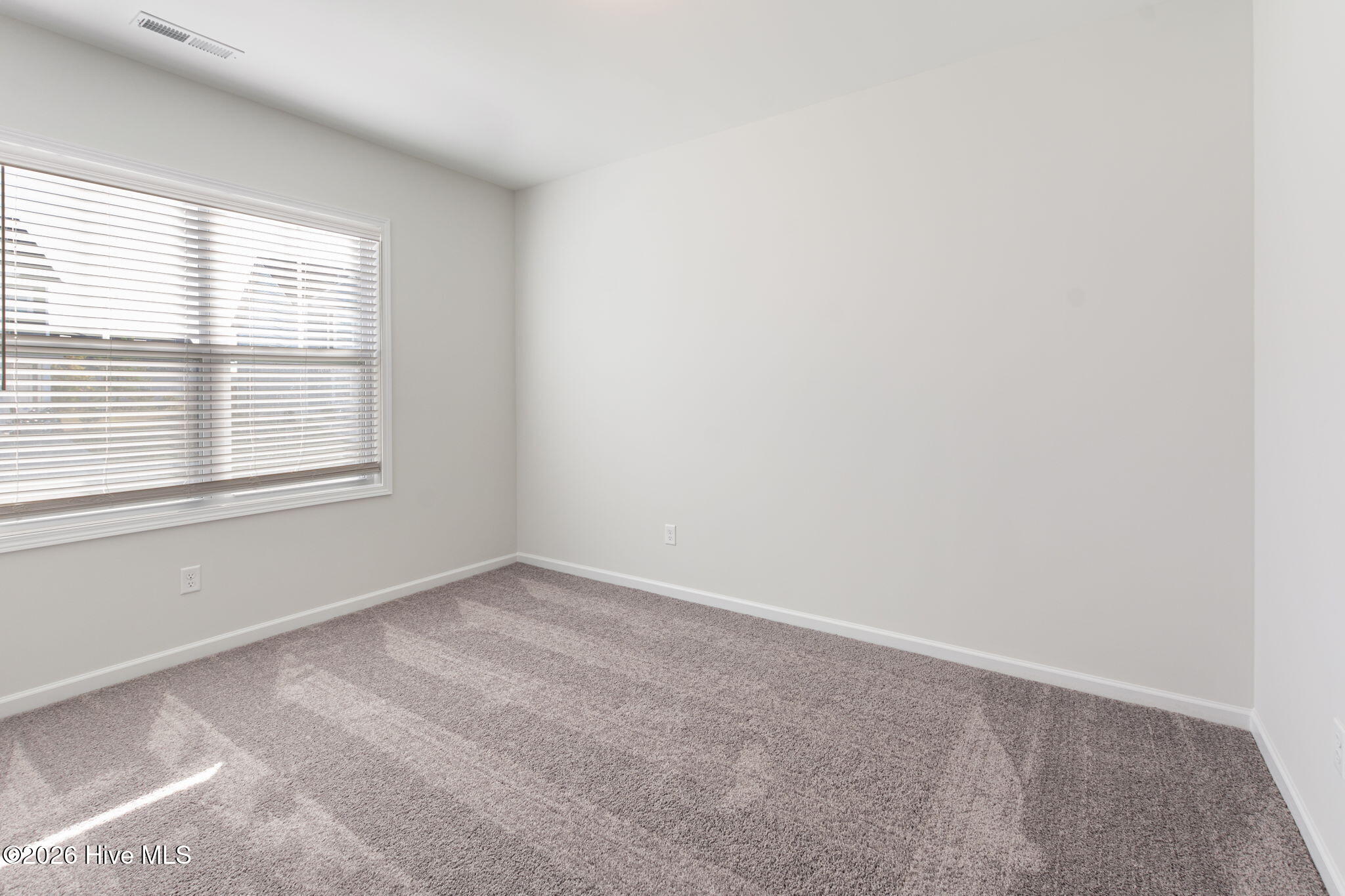 downstairs bed / office
