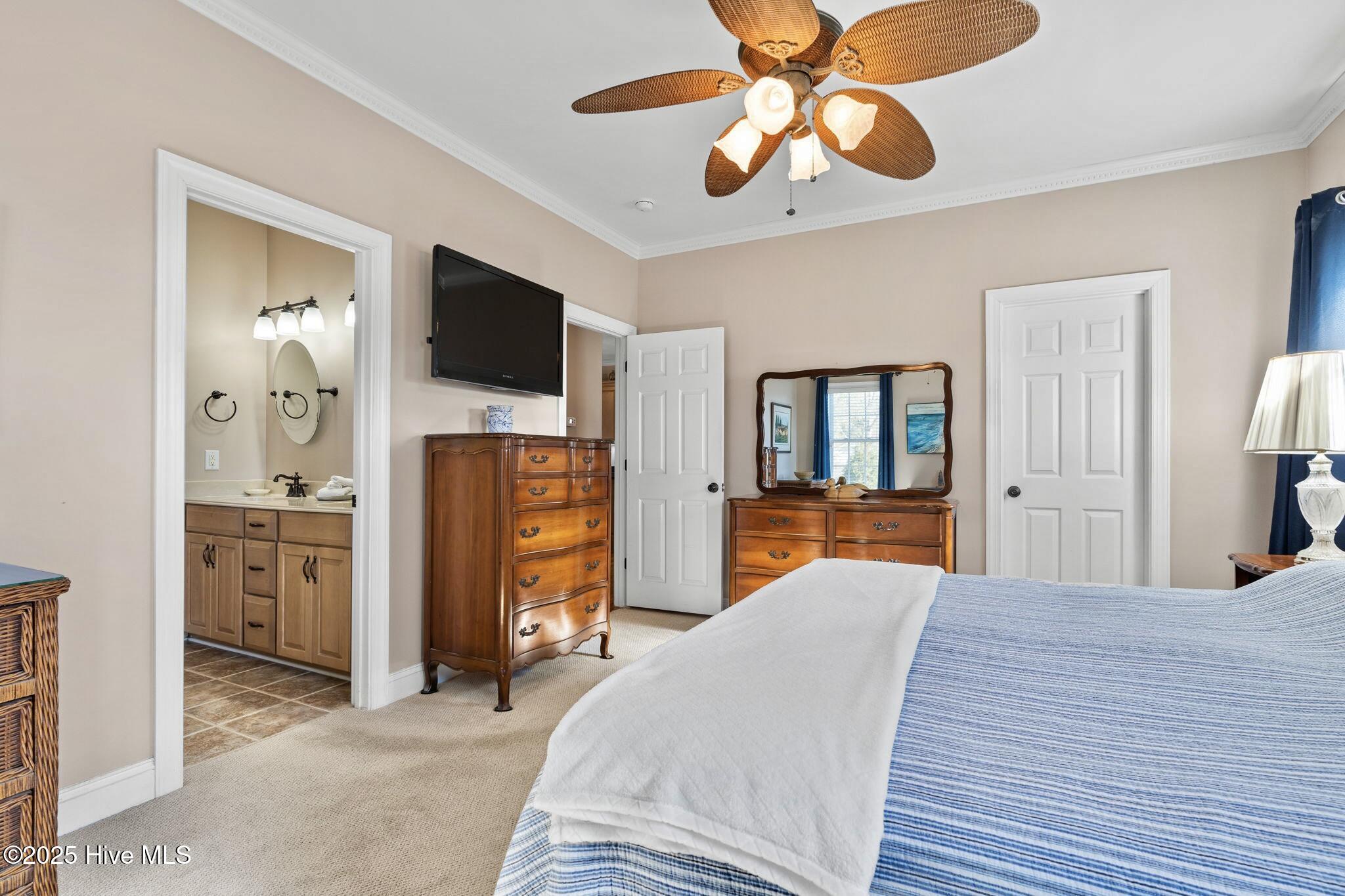 100543841 | Photo 25