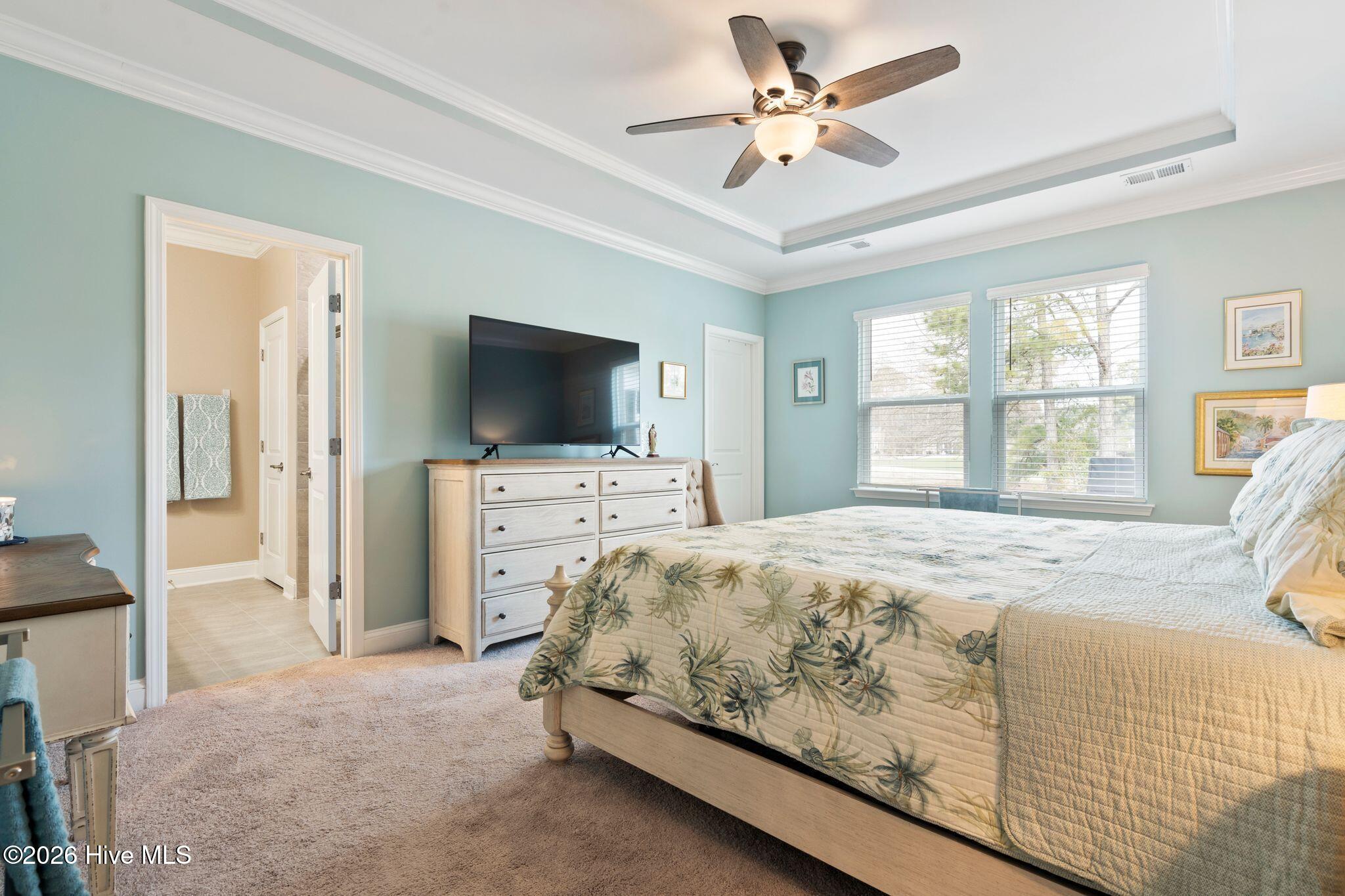 100553867 | Photo 21