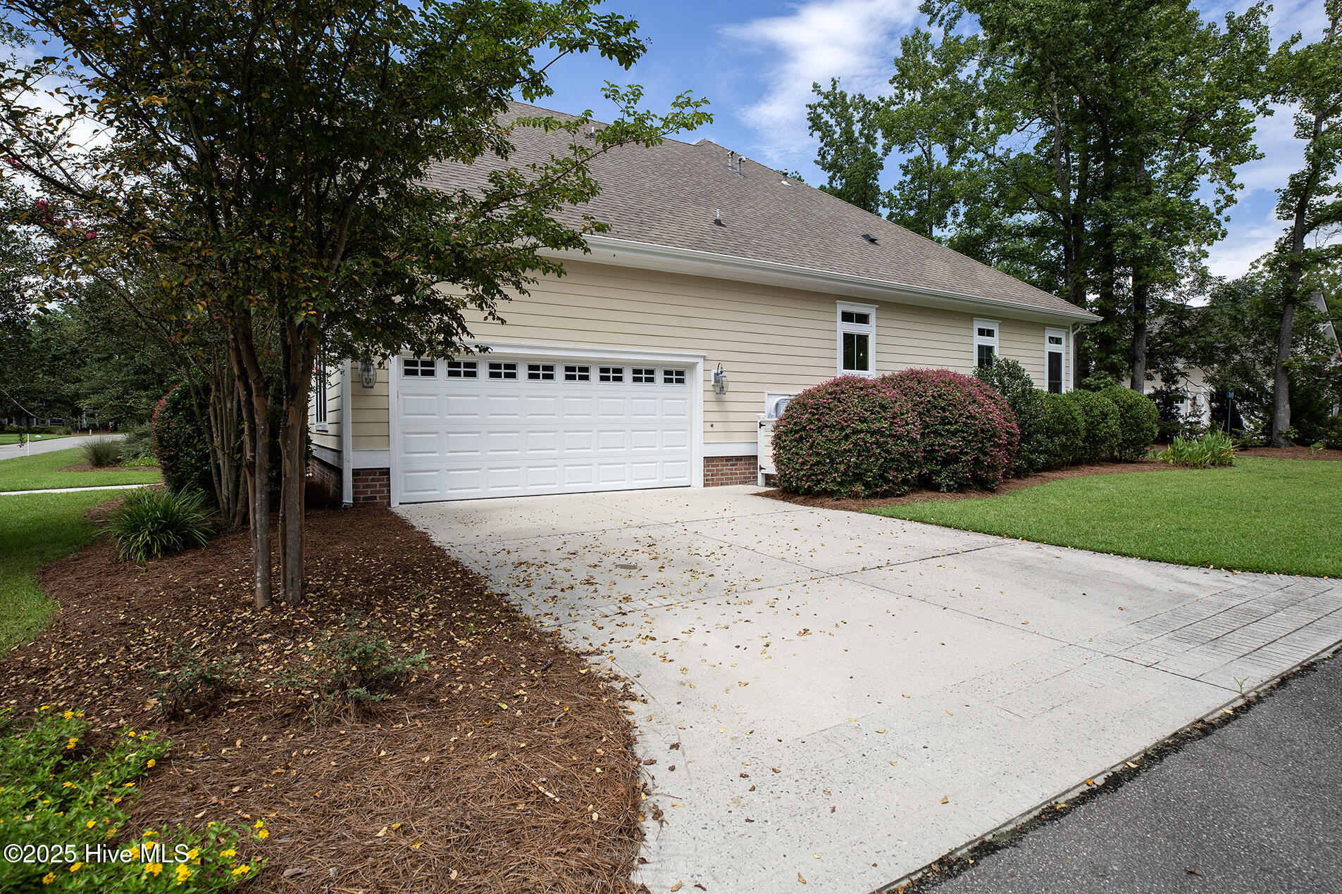 100556749 | Photo 52