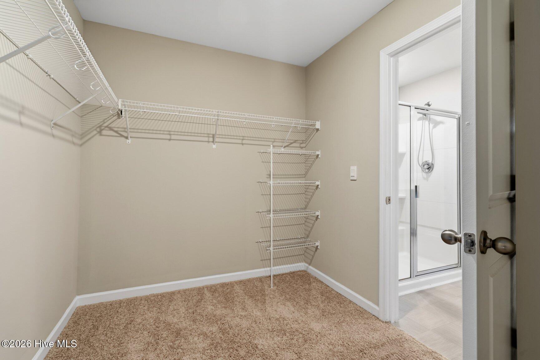 Walk-In Closet in Master