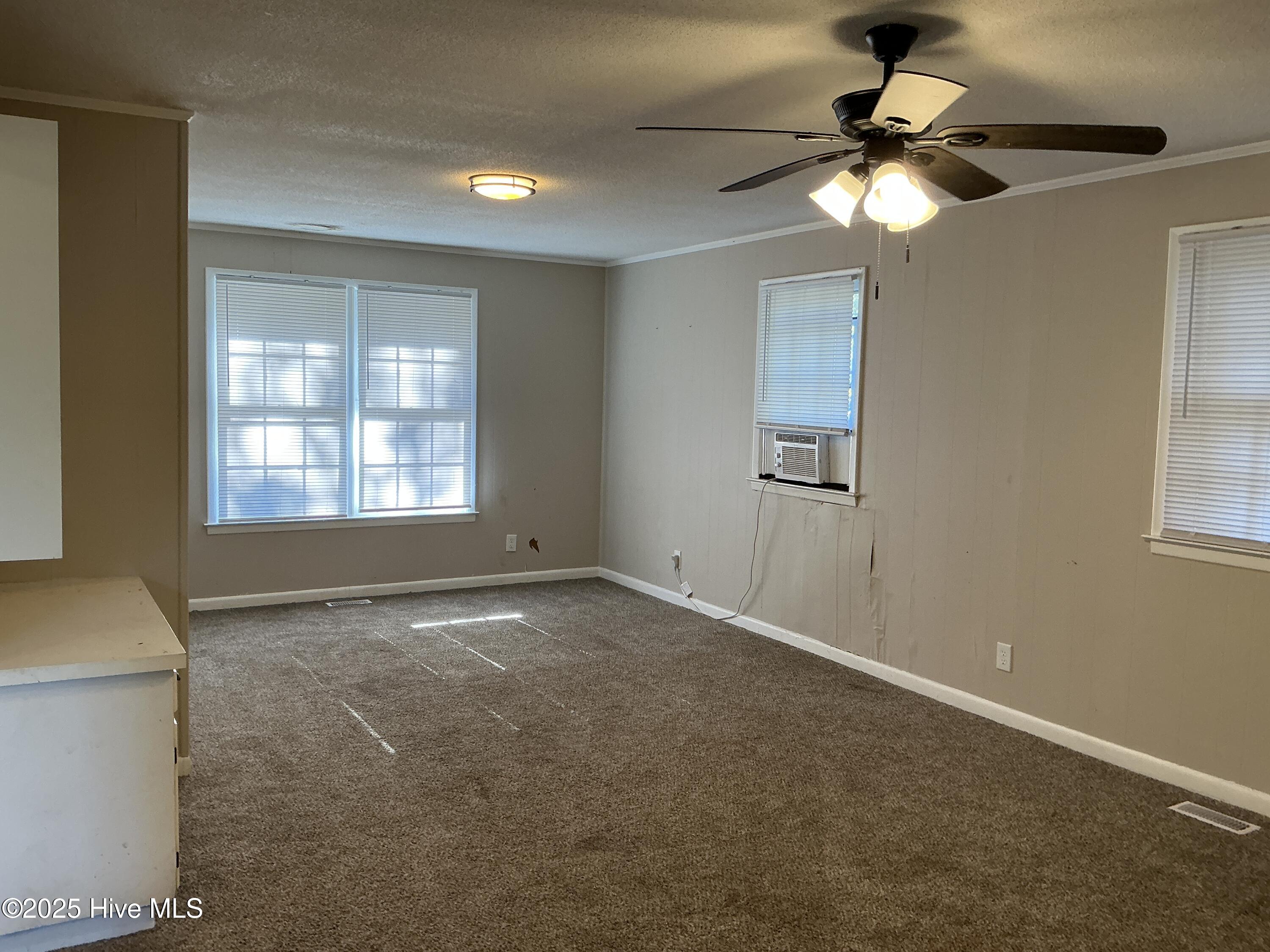 100537252 | Photo 10