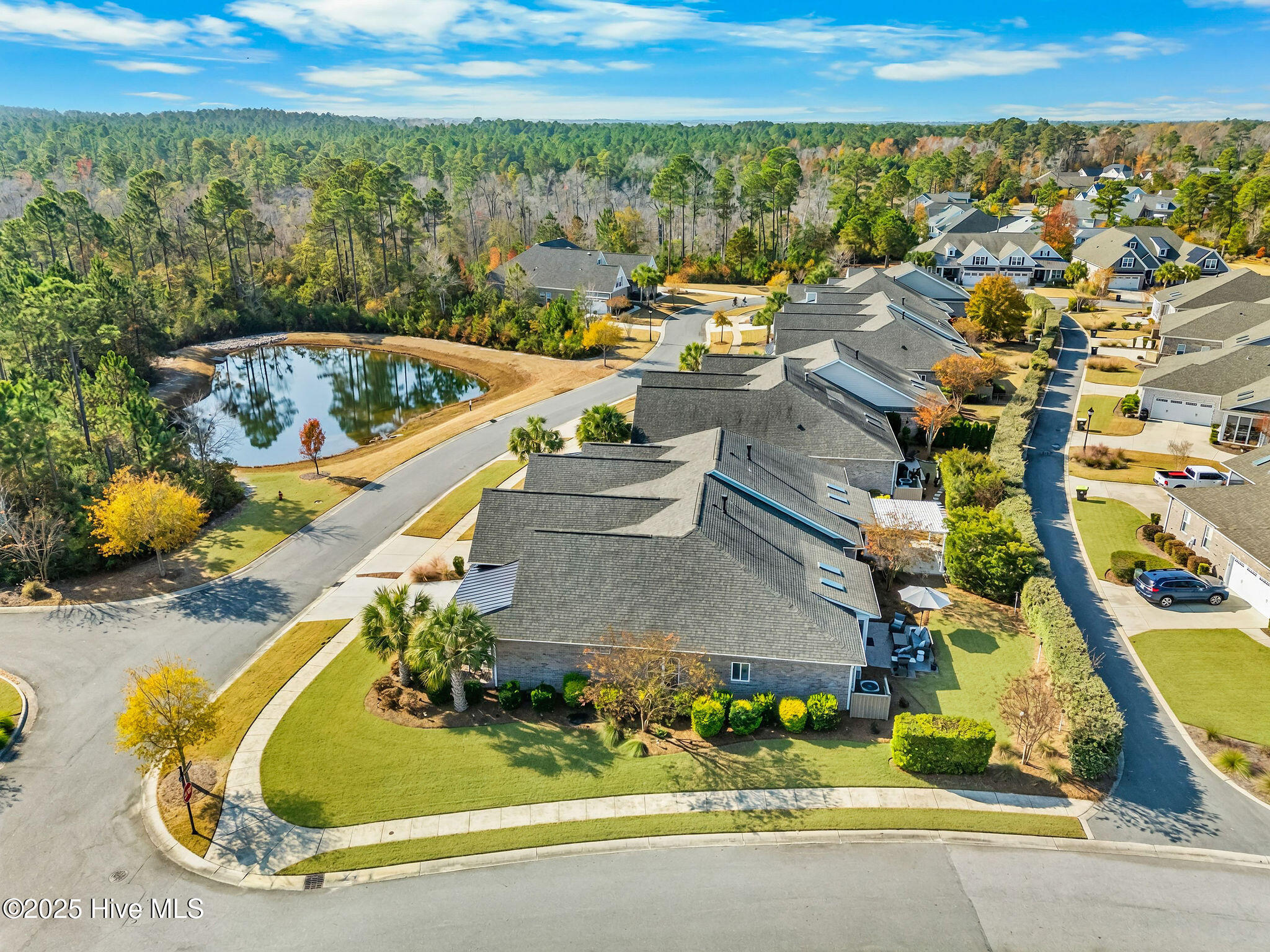 100542604 | Photo 58